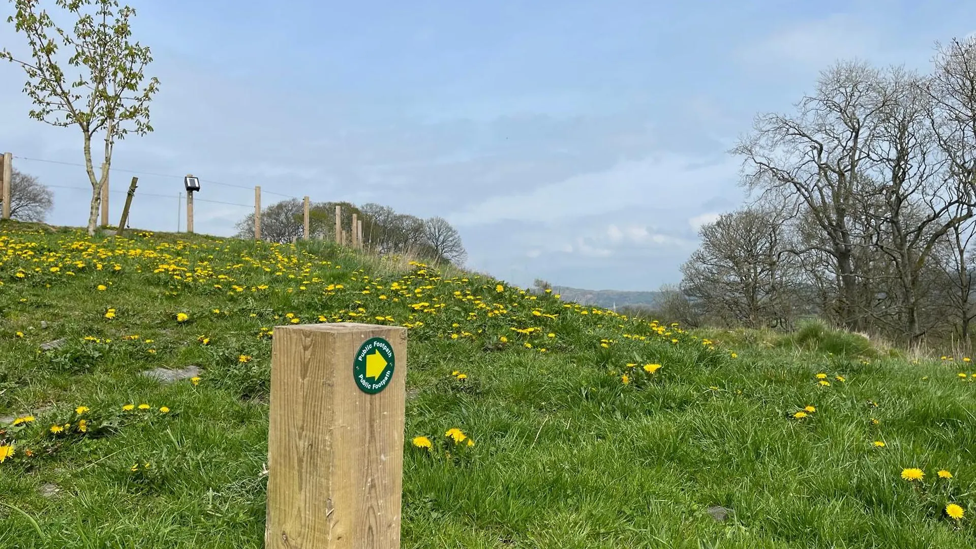Holiday home Greenbank Cartmel