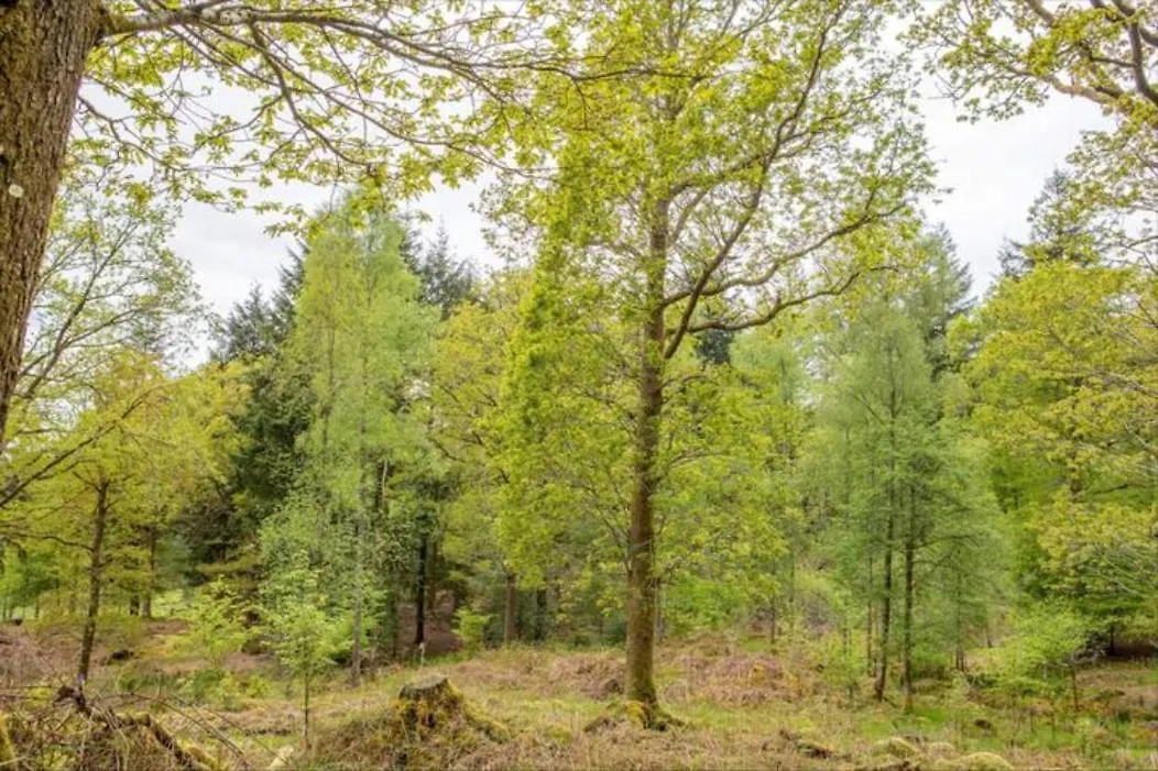 Brathay Hall - Brathay Trust 3*