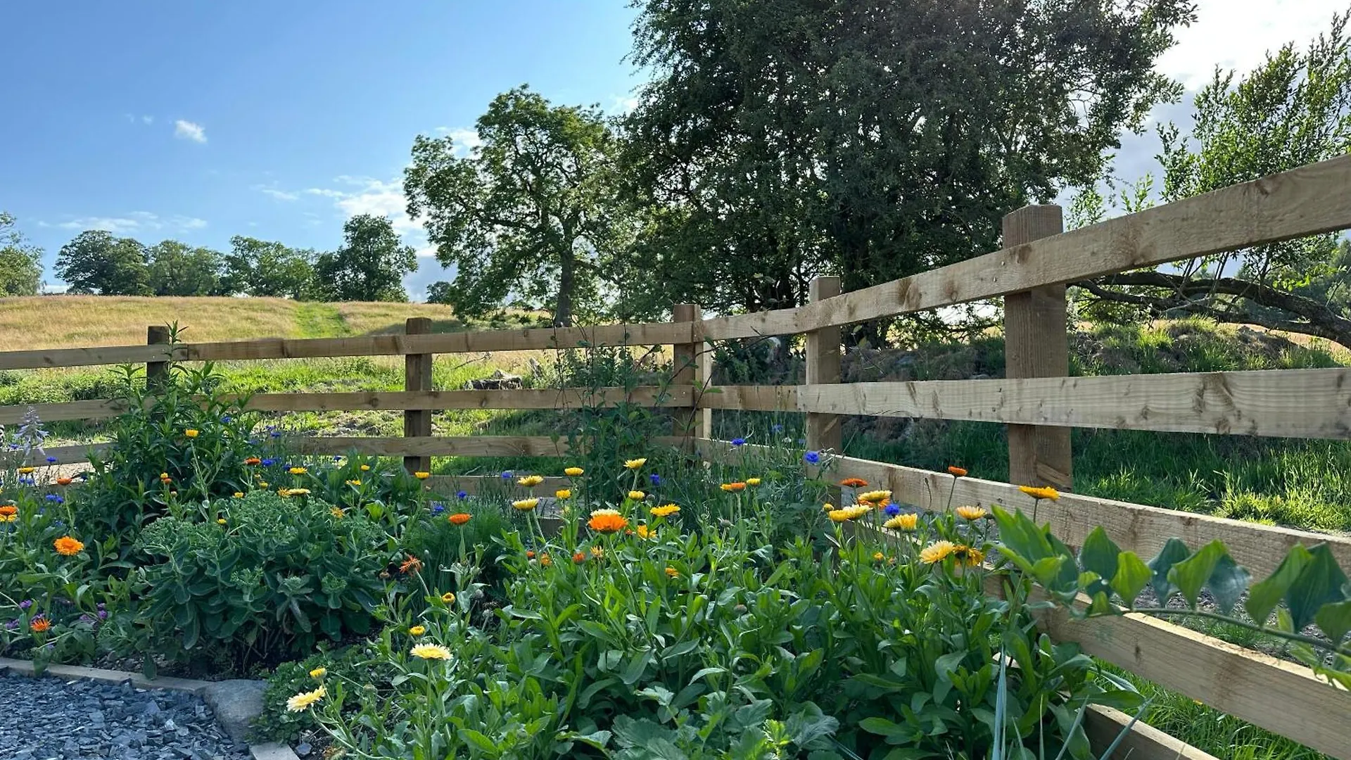 Meadow Syke Byre *