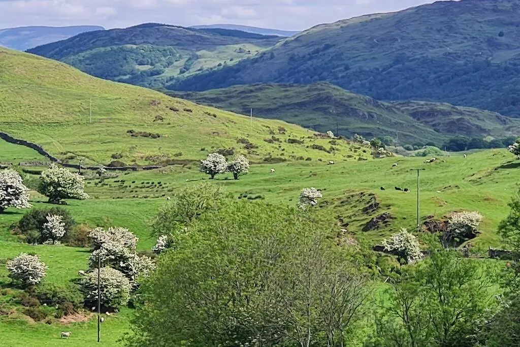 Fell View, Lake District * Ulverston