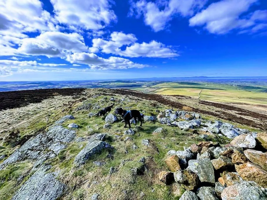 Barncroft: Dogs Welcome, Dog Care Services Offered Cockermouth