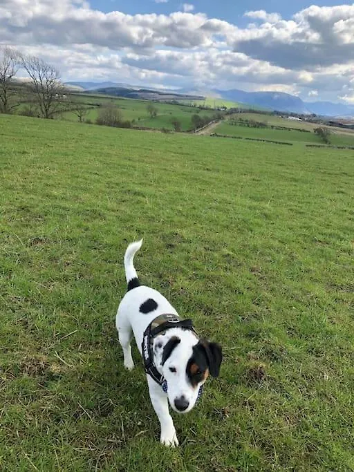 Holiday home Barncroft: Dogs Welcome, Dog Care Services Offered