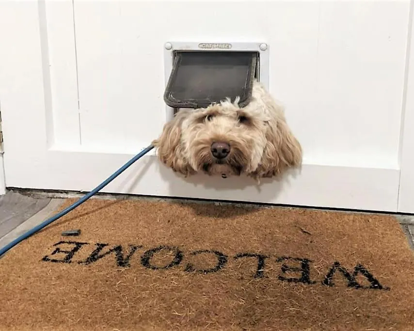 Barncroft: Dogs Welcome, Dog Care Services Offered Holiday home *
