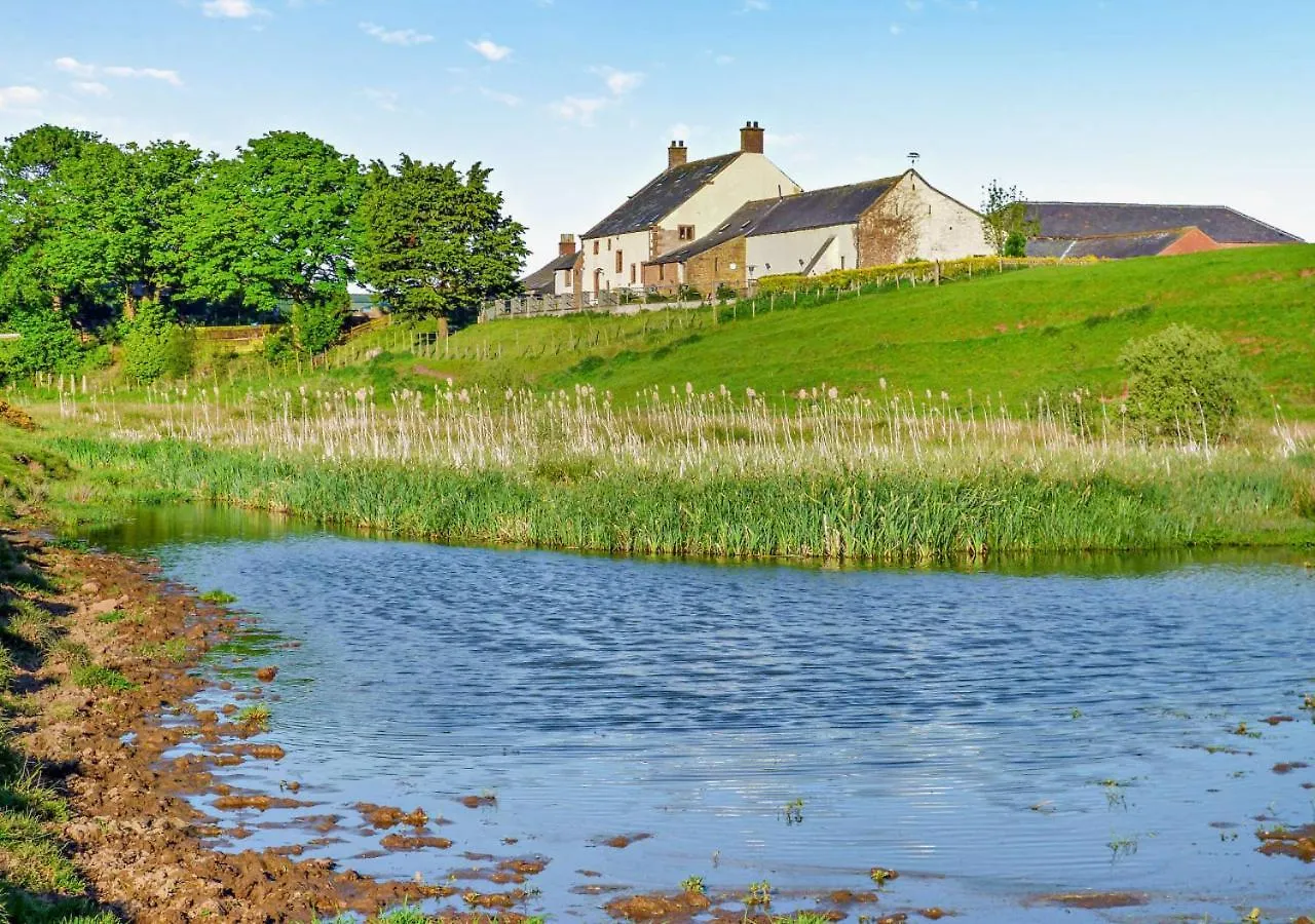 Vallum At Hadrians *