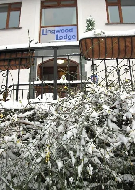 Lingwood