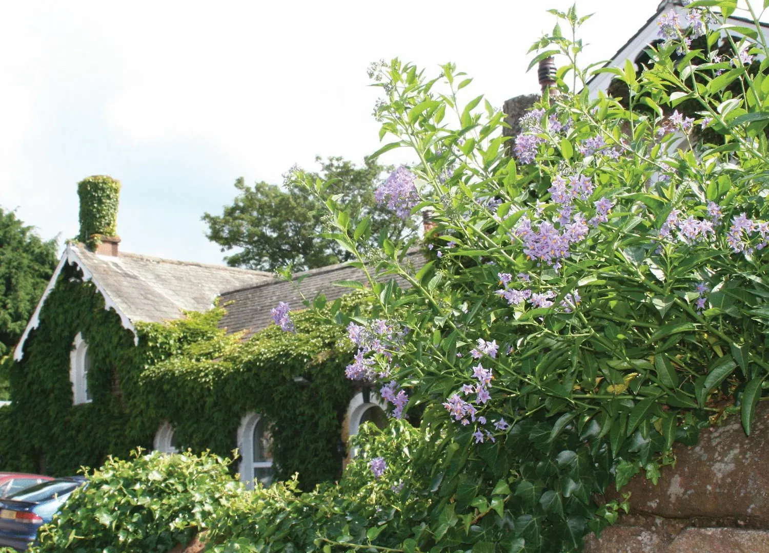 The Brantwood
