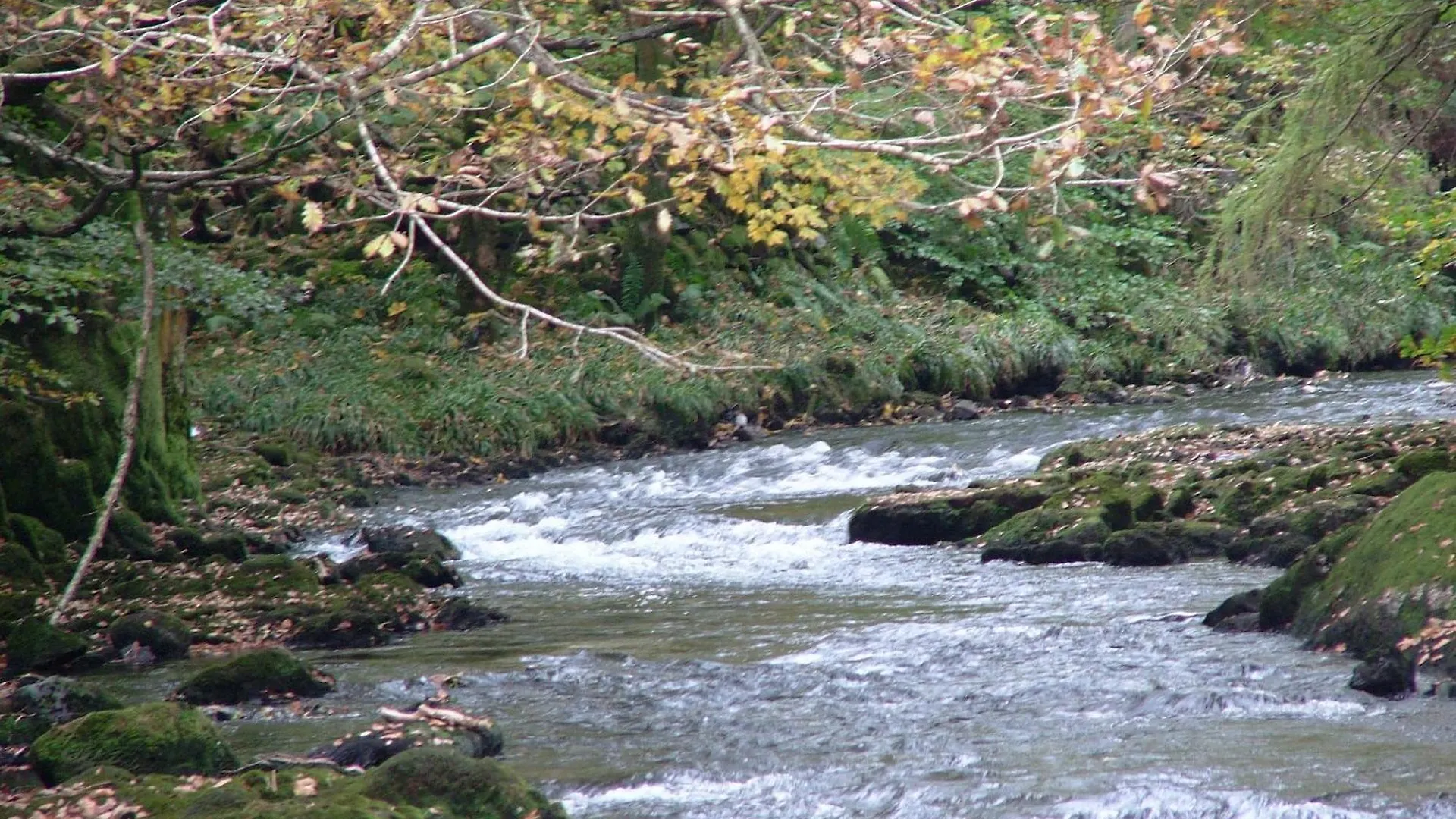 Panzió Glencree Windermere