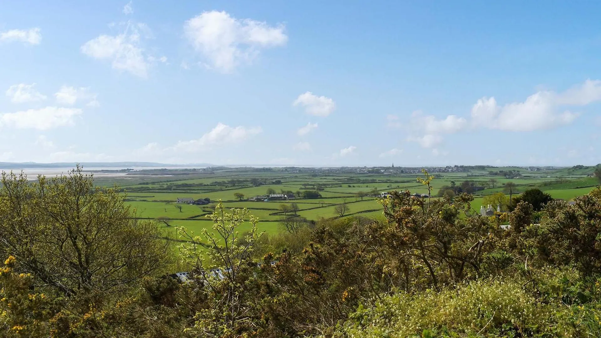 Deer Close - Uk45787 Holiday home