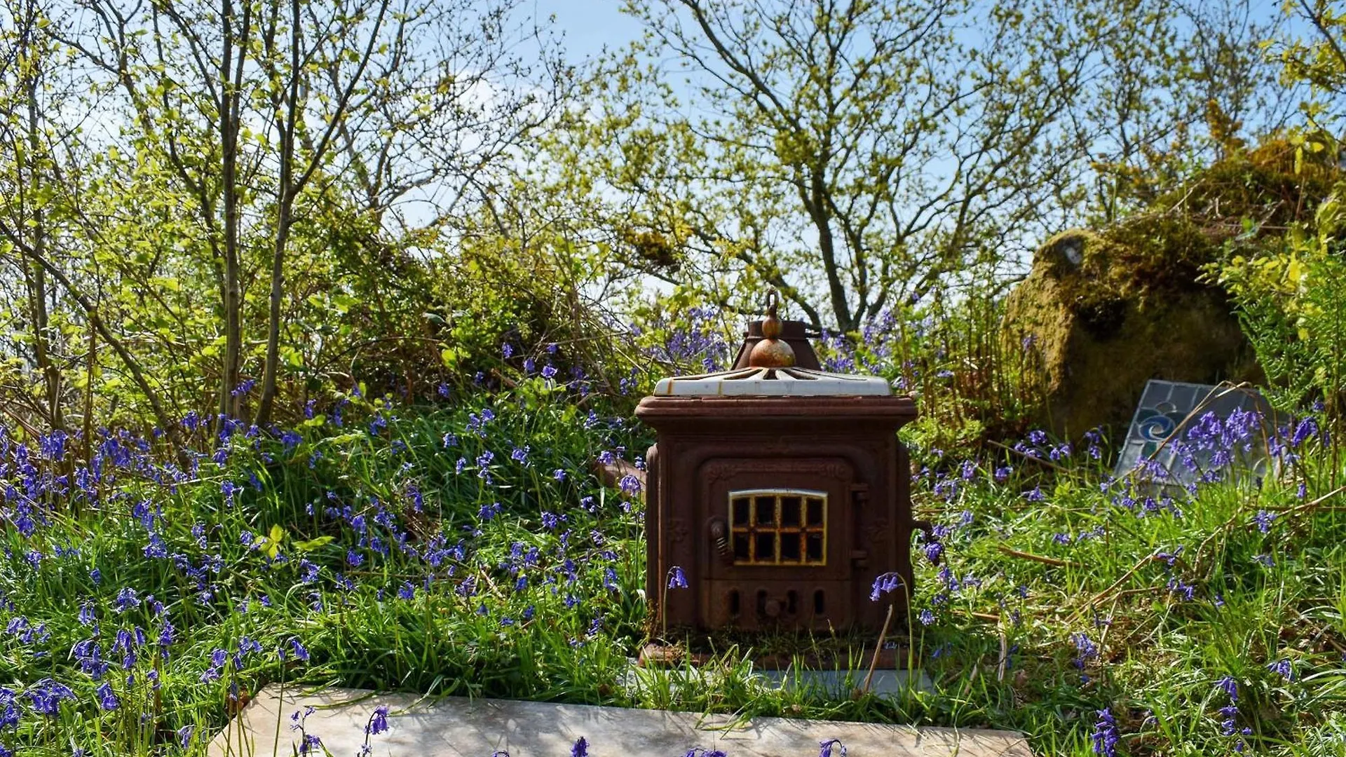Deer Close - Uk45787 Holiday home