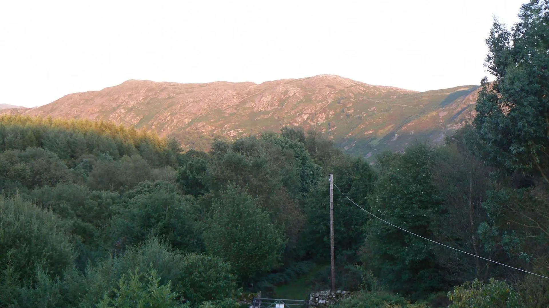 Forest 에스크데일