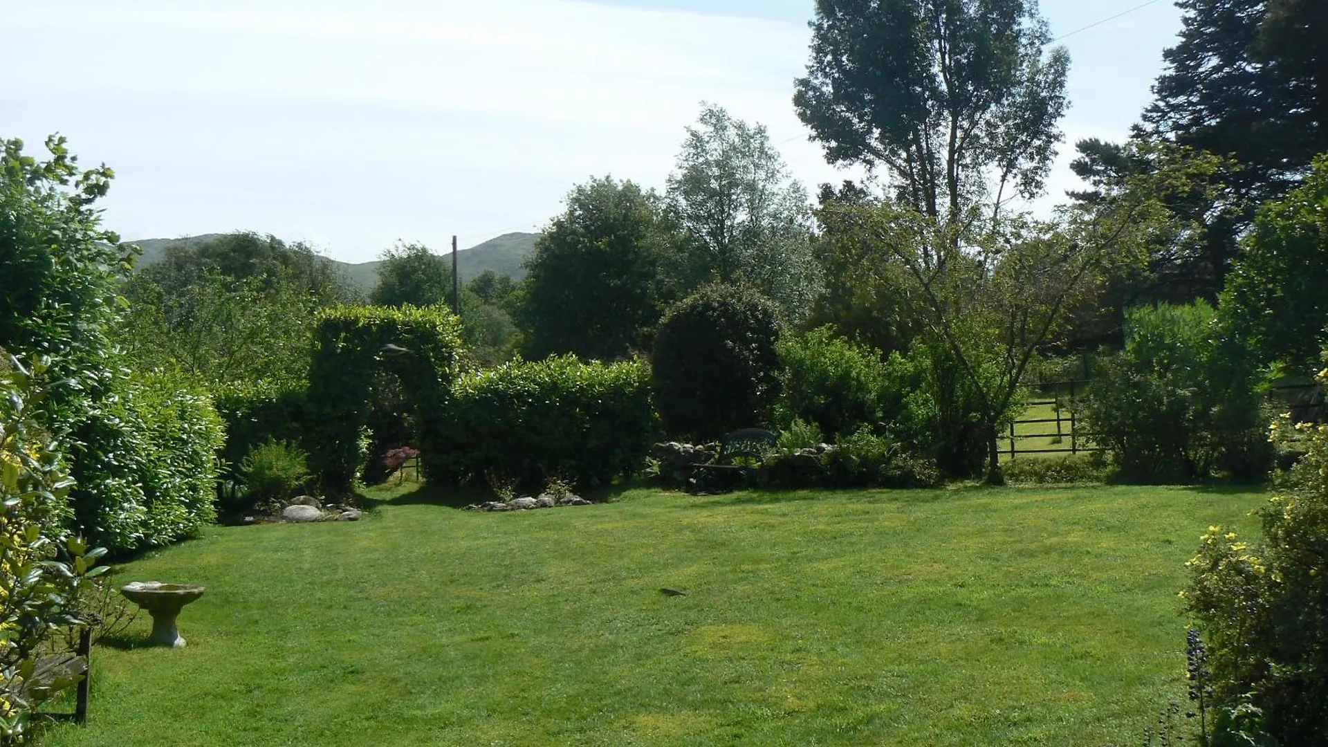 Forest Eskdale