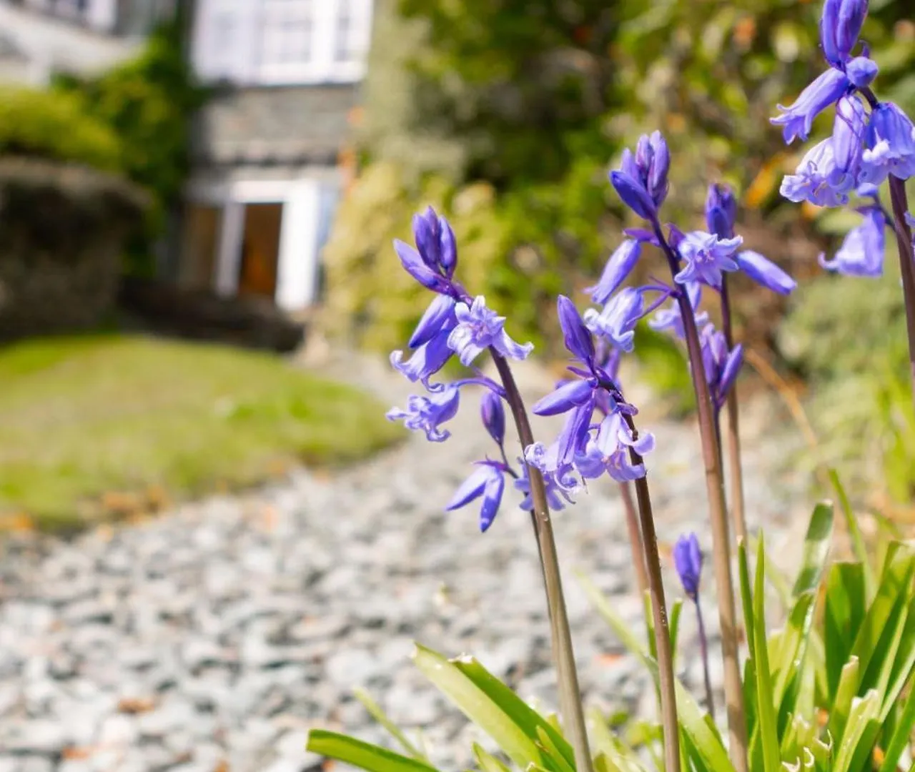 Holiday home 2 Sweden Bank Ambleside