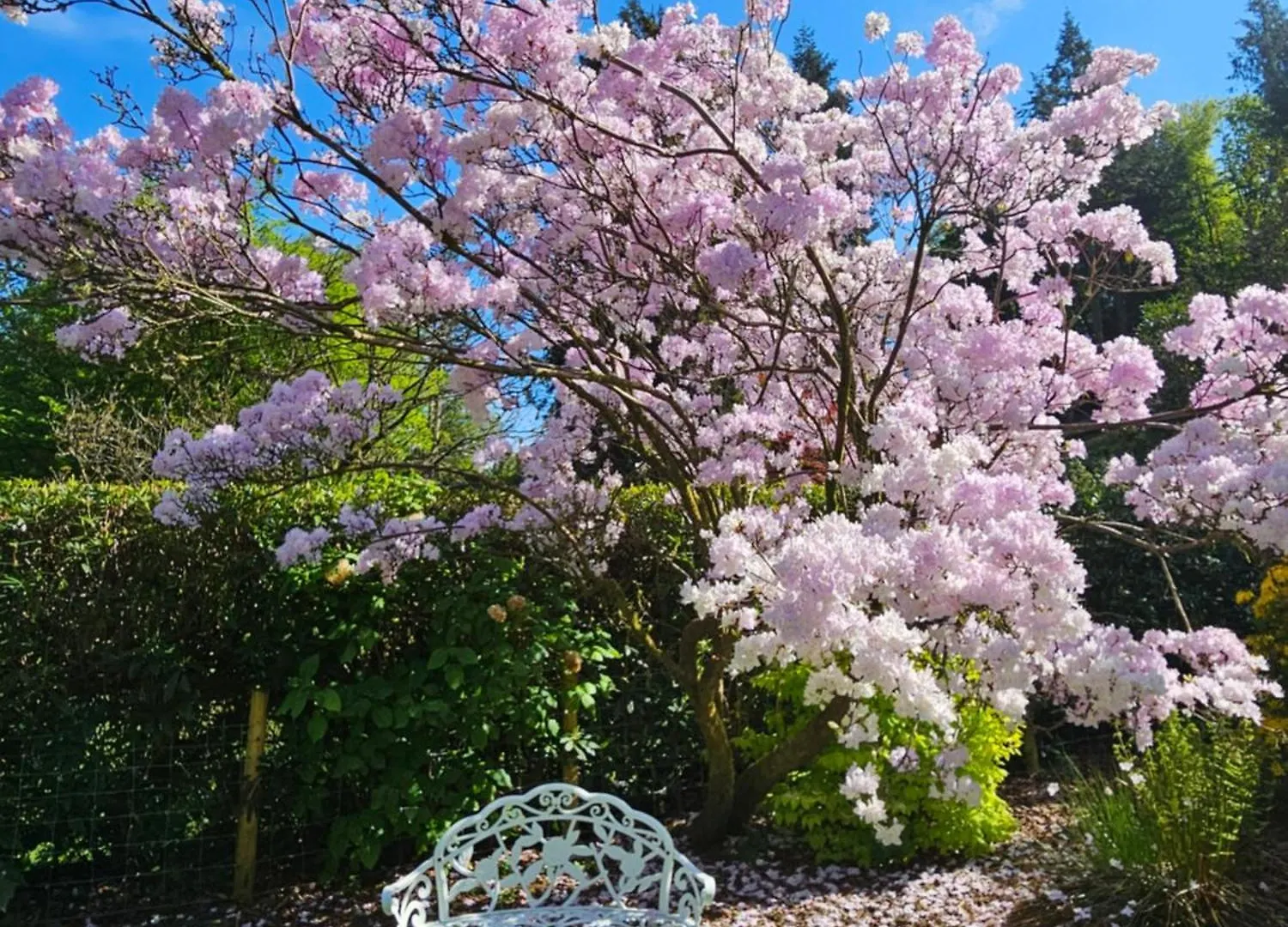 Bed and breakfast Foxghyll Ambleside