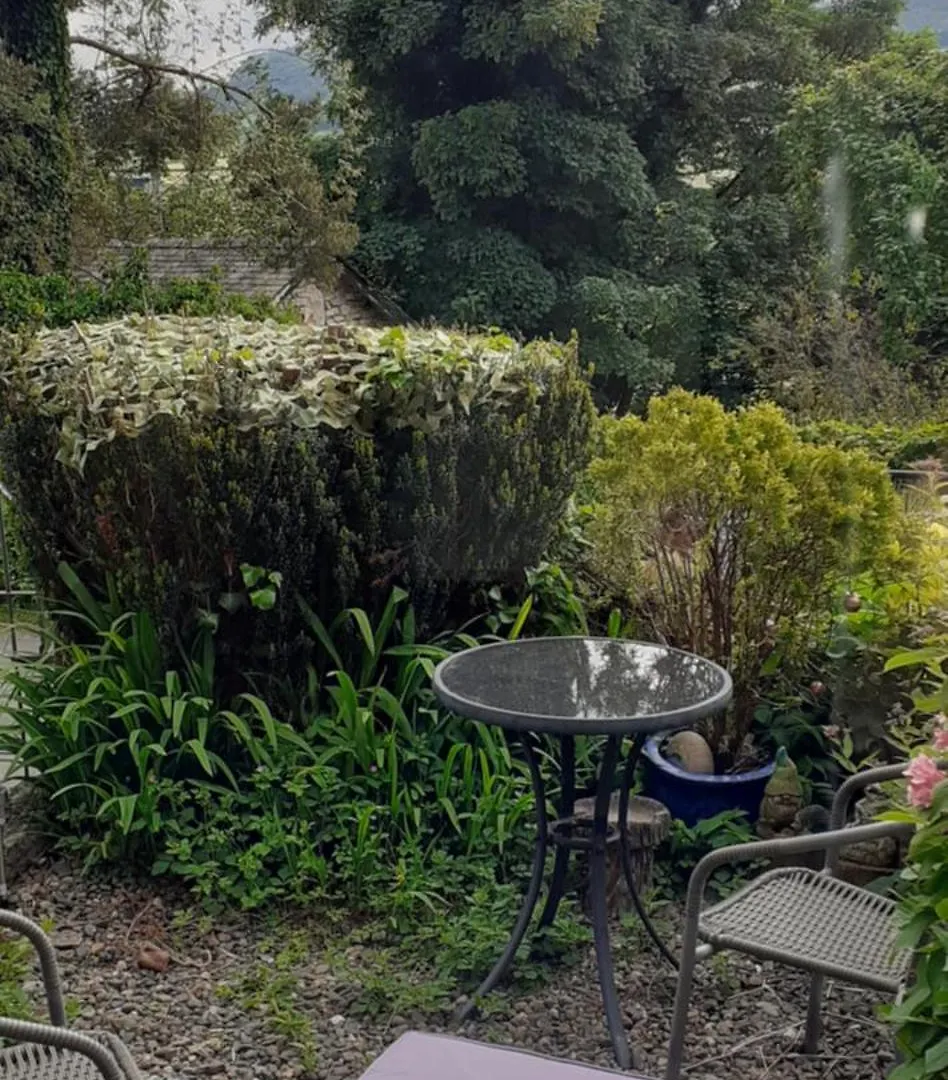 Plumtree House Bed & Breakfast Brigsteer