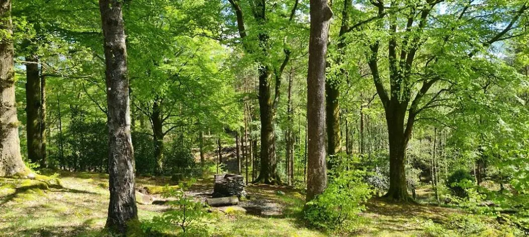 Pensionat Brathay Hall - Brathay Trust Ambleside