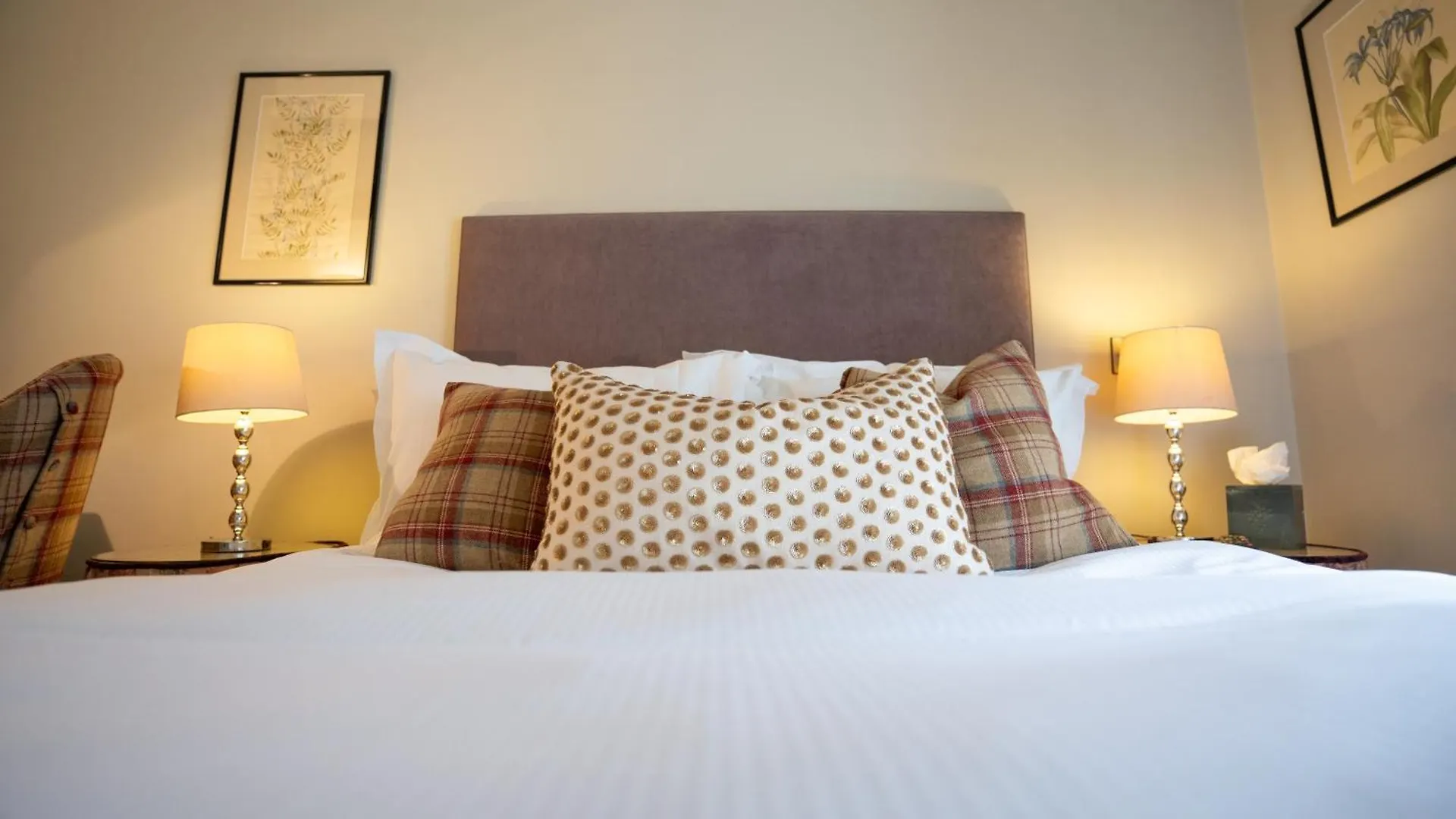 Hotel Plato's 5*