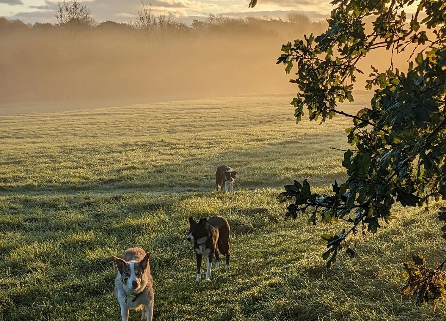 Brackenthwaite Farm Beetham