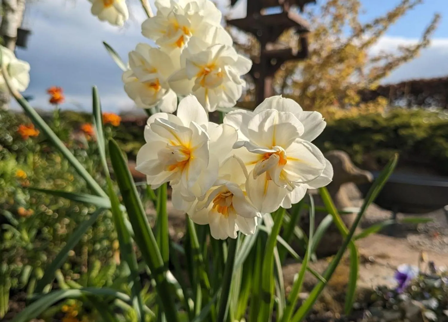 Brackenthwaite Farm 度假居 Beetham