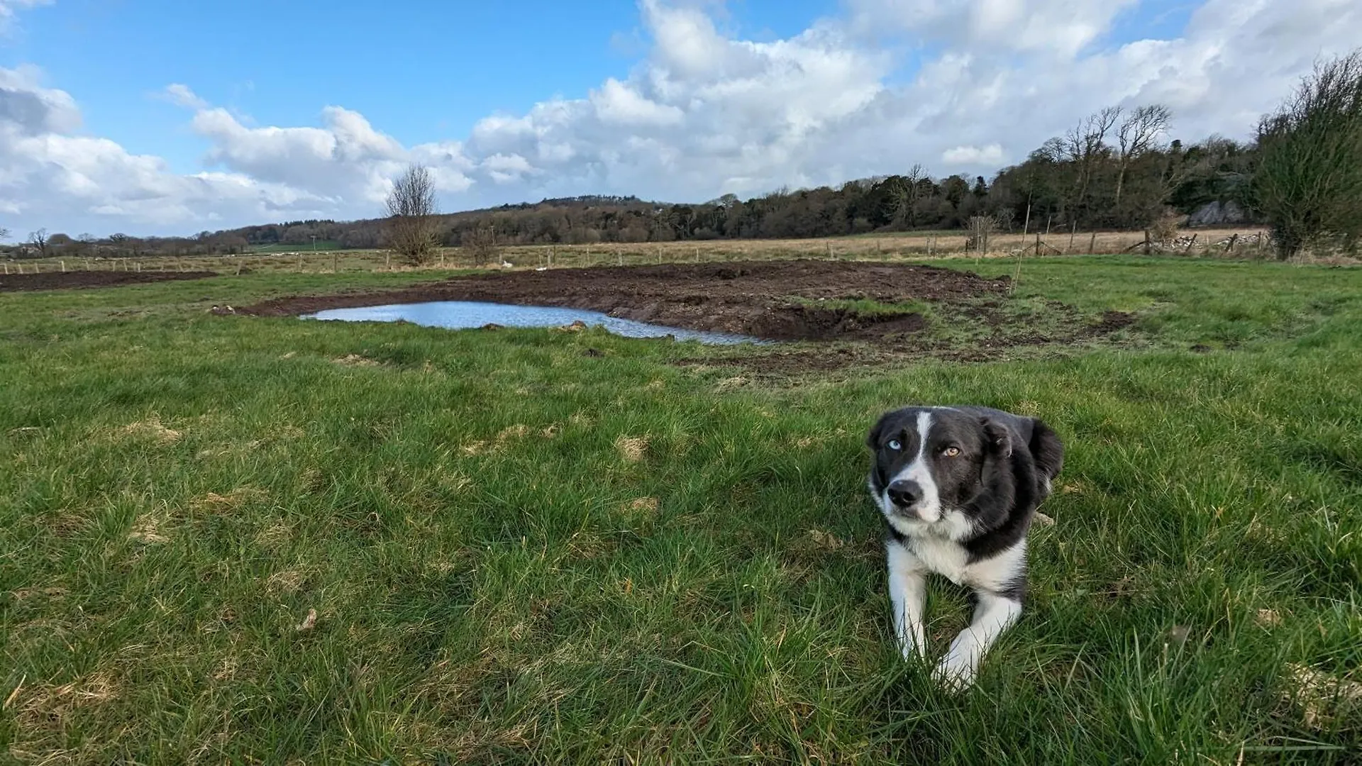 Brackenthwaite Farm 度假居