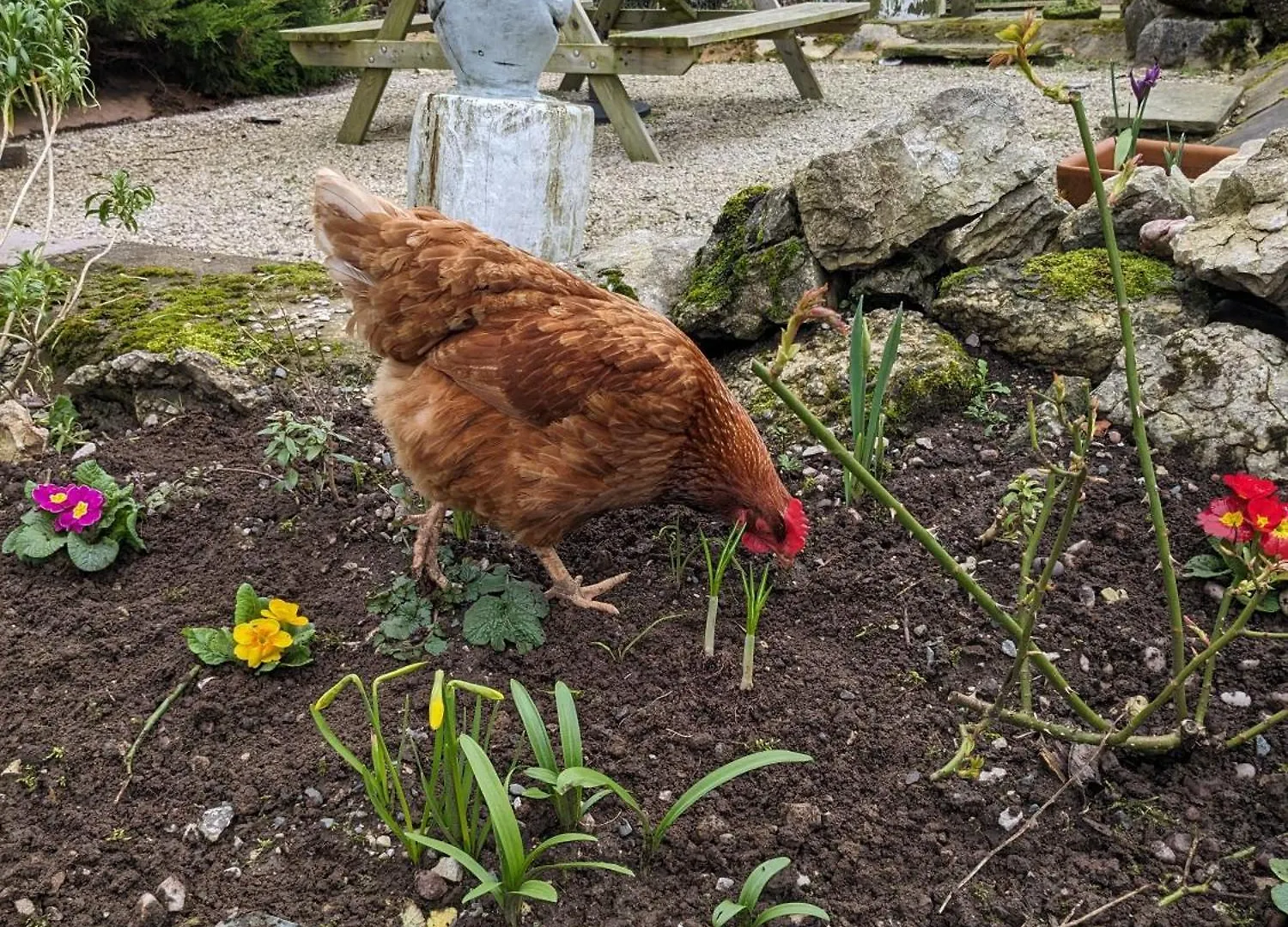 度假居 Brackenthwaite Farm