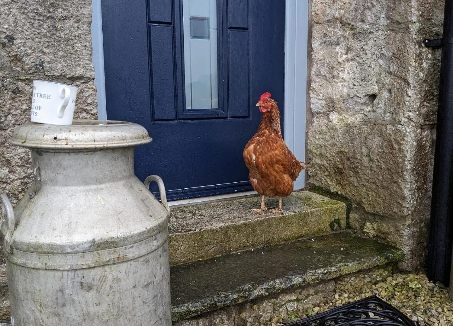 Brackenthwaite Farm Holiday home