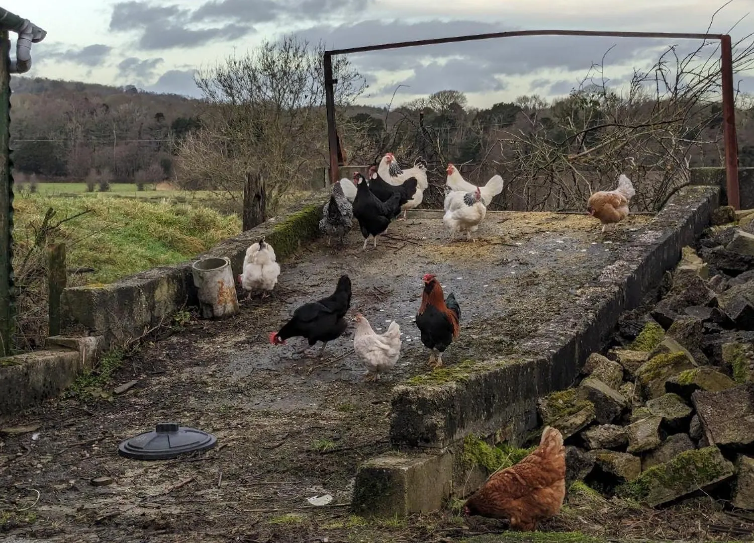 Brackenthwaite Farm