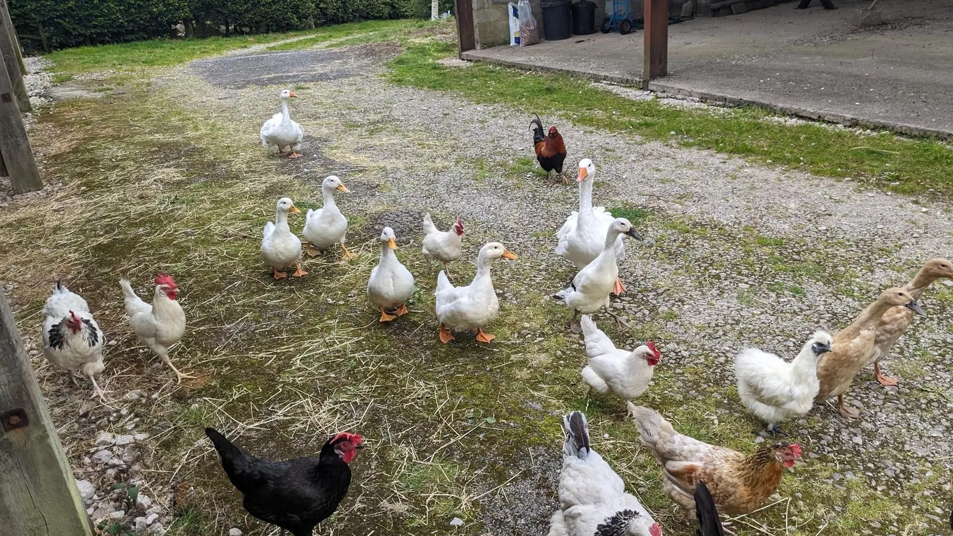 Brackenthwaite Farm *