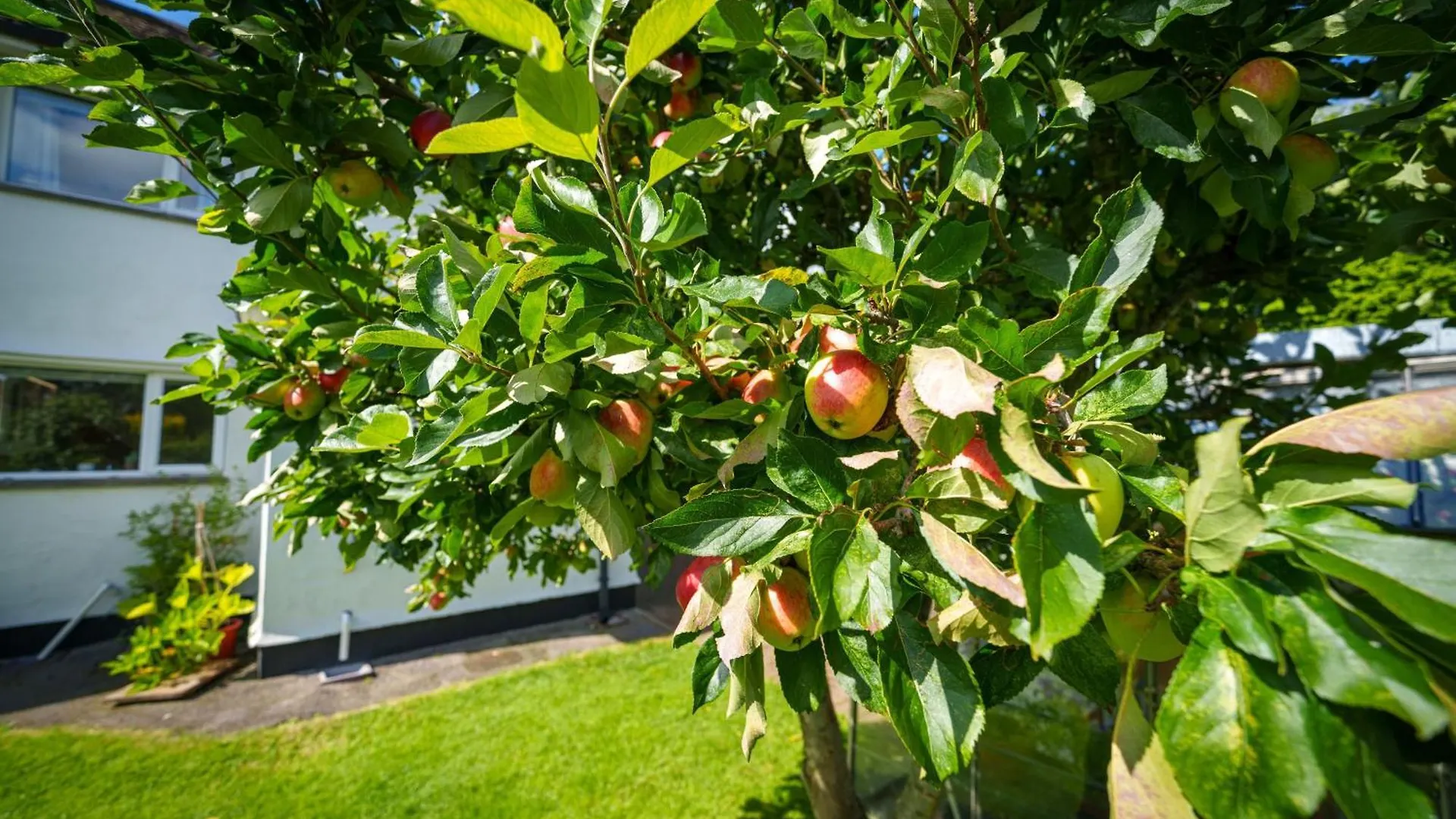 Apple Byrd - Short Stroll Into Town Centre * Кендал