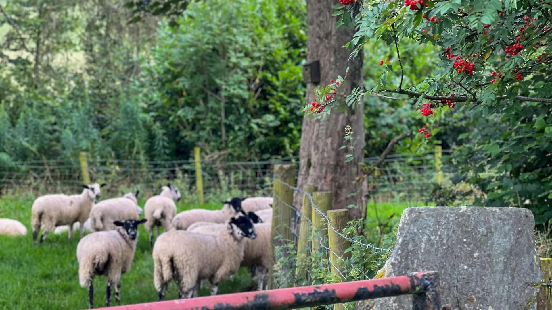 Holiday home Farm *