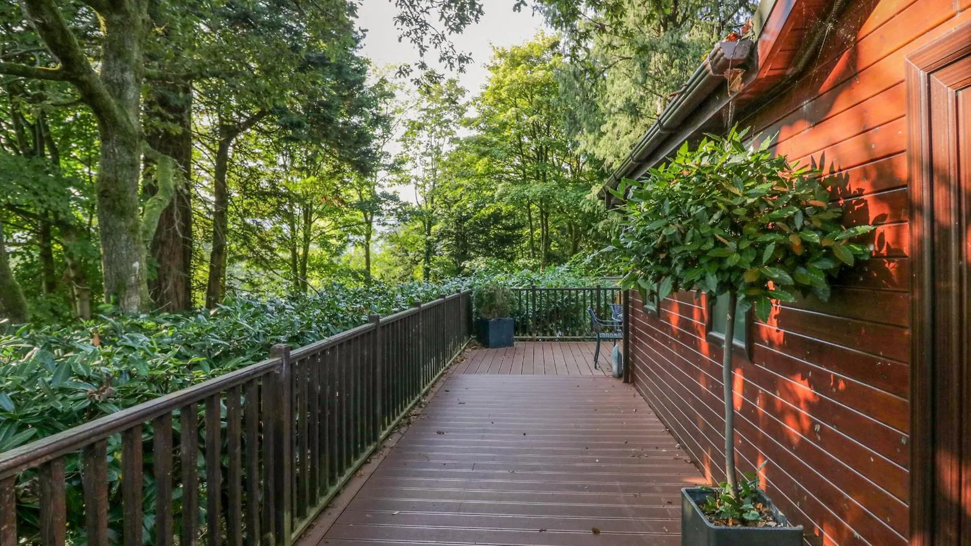 Tree House, Partial Views