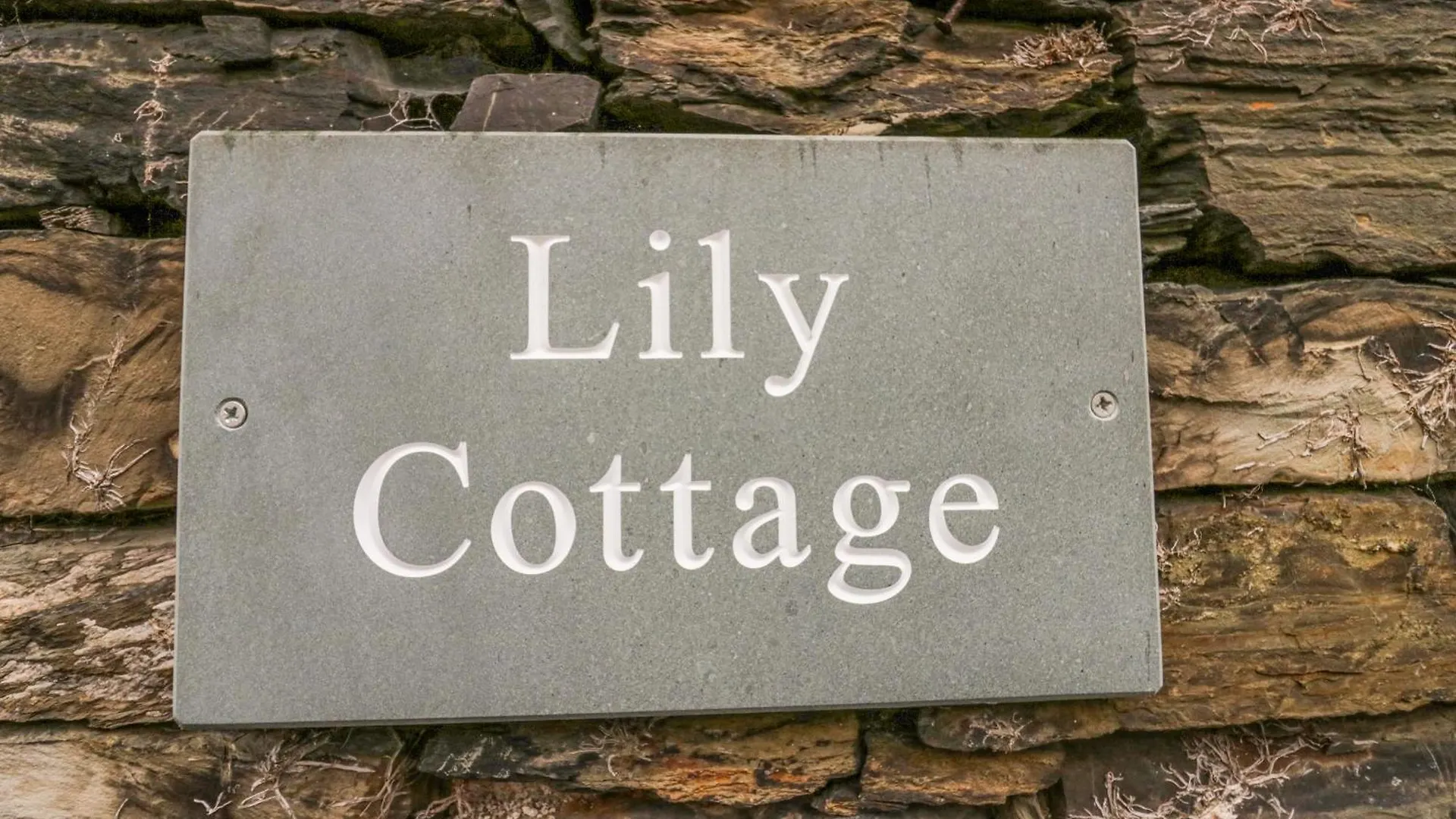 Lily