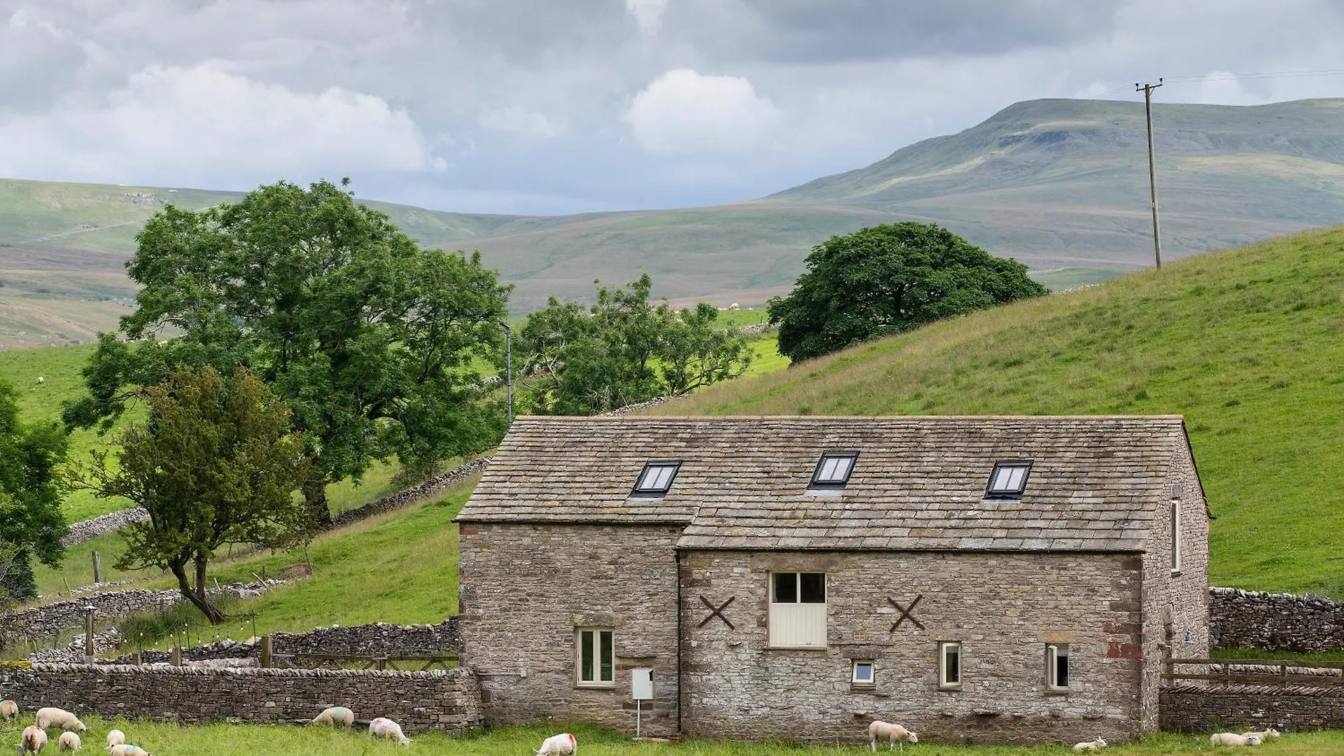 Lambing Live * Kirkby Stephen
