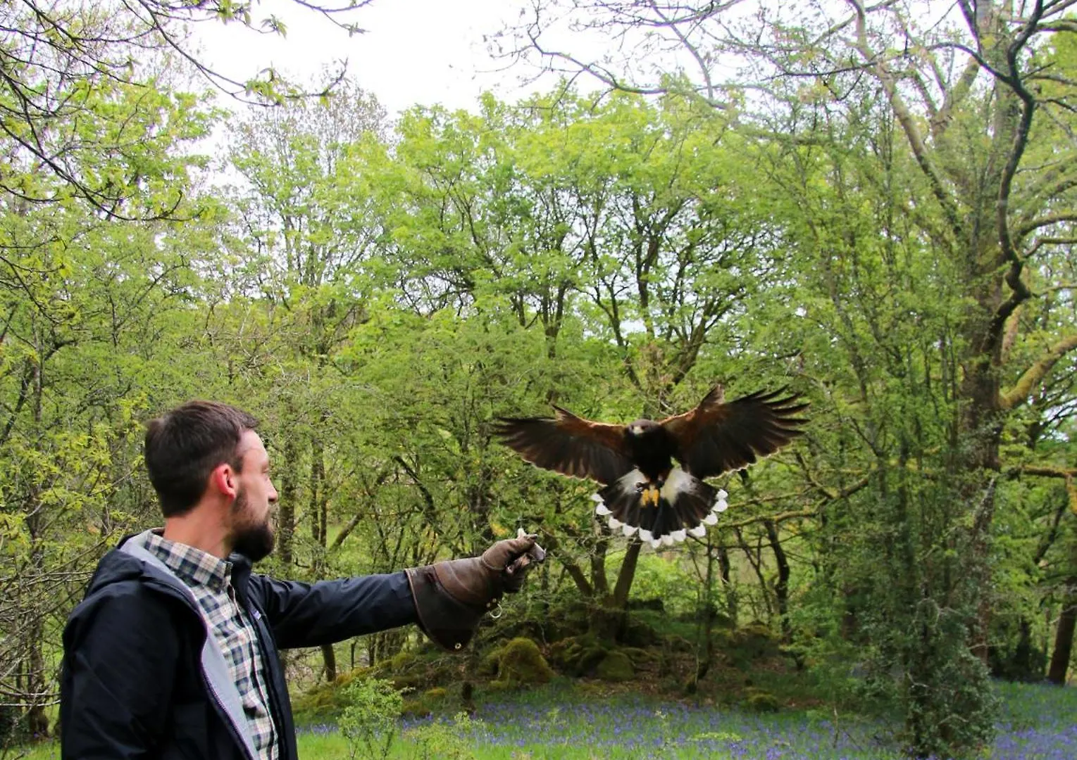 Wild Boar Estate 4* Bowness-on-Windermere