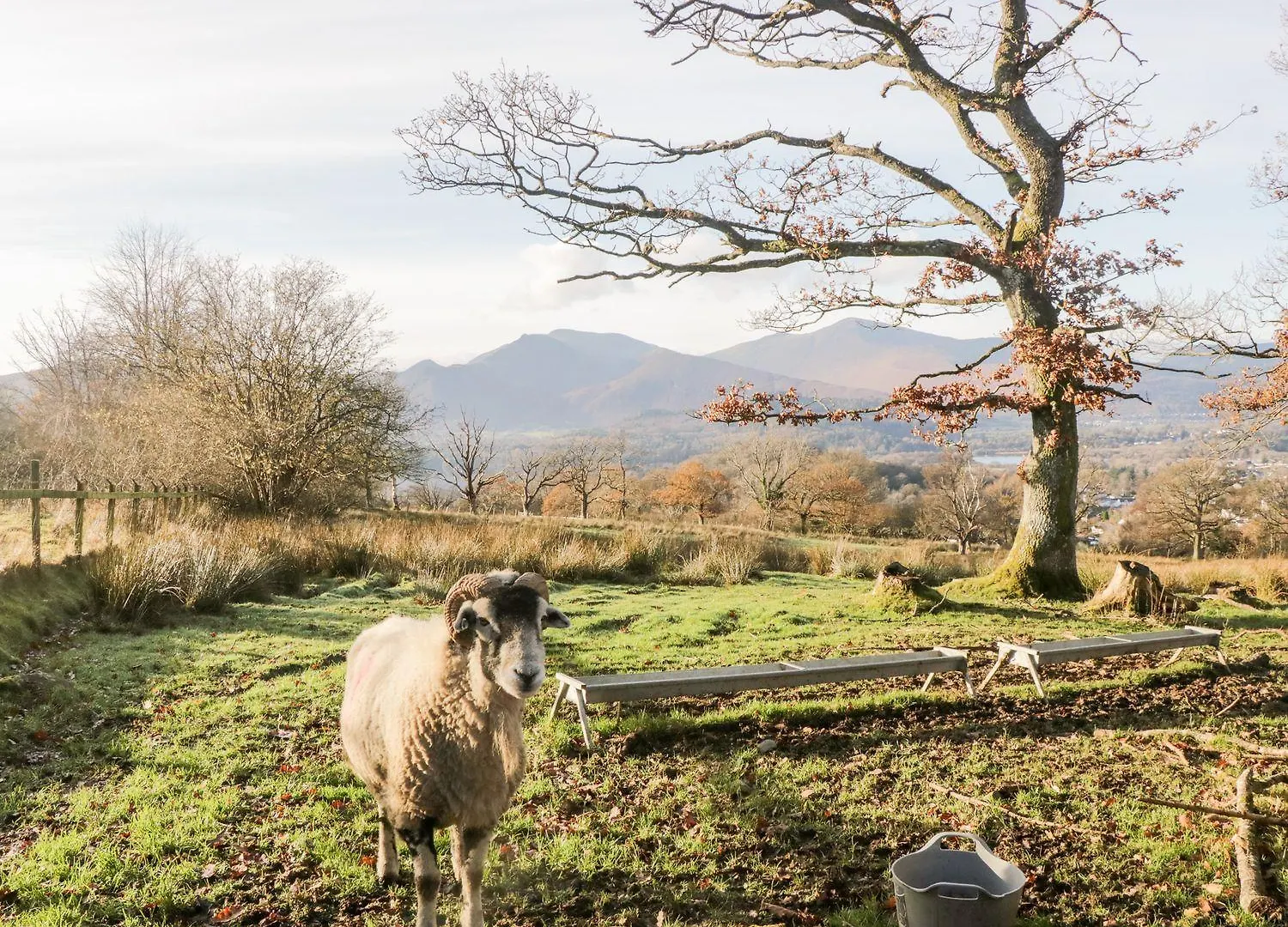 Lakeland View * Keswick (Cumbria)