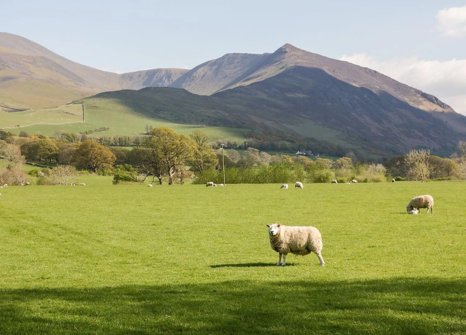 Lakeland View *