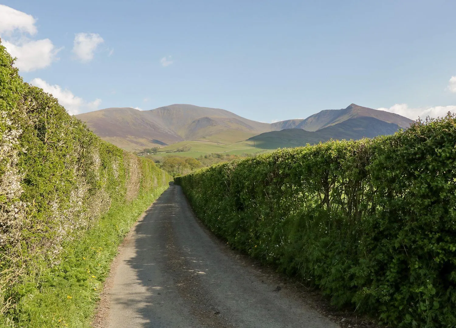 Lakeland View