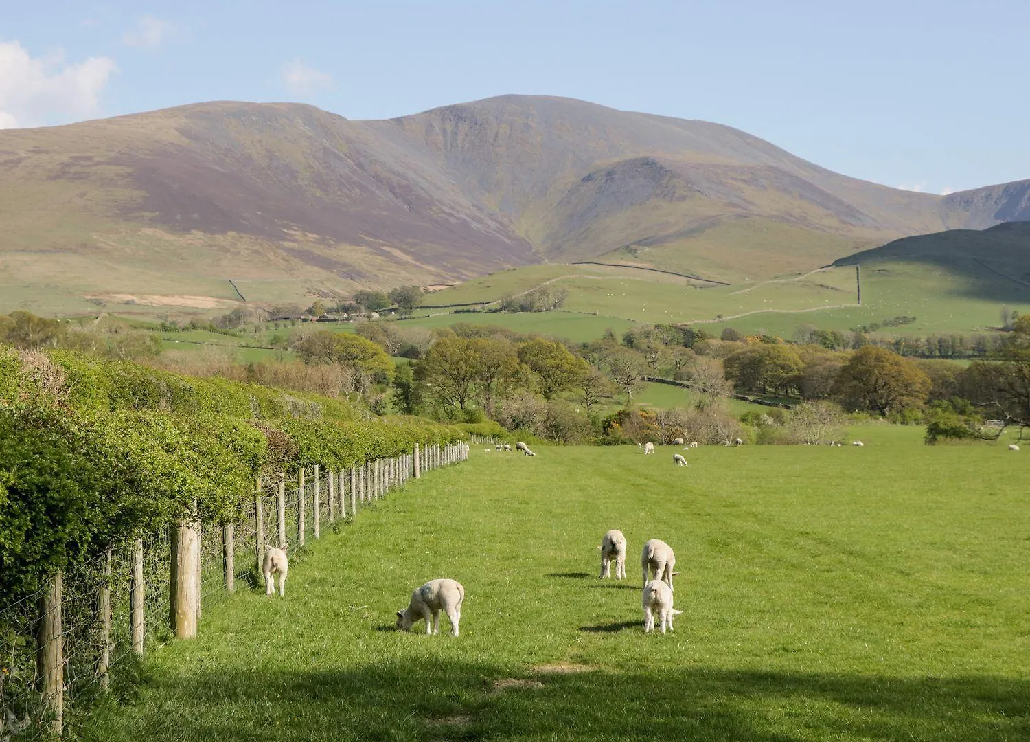 Lakeland View *