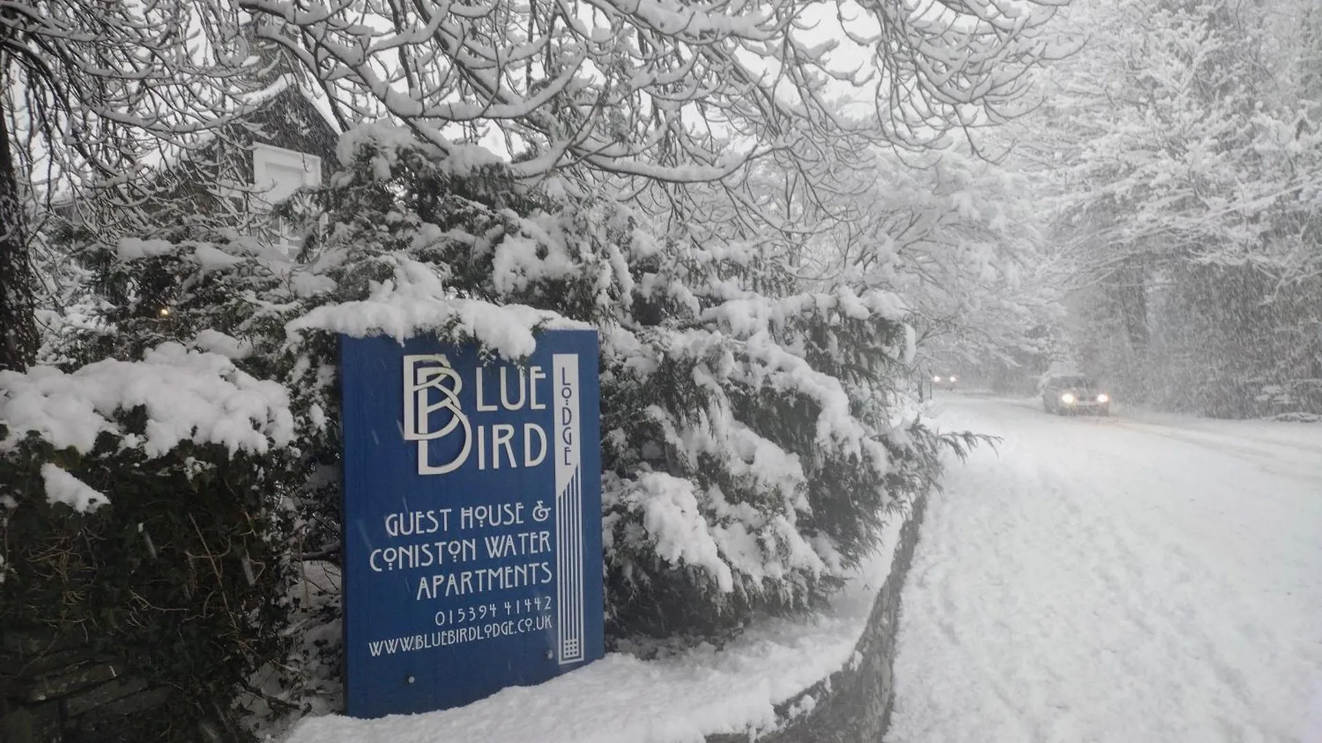 게스트하우스 Bluebird
