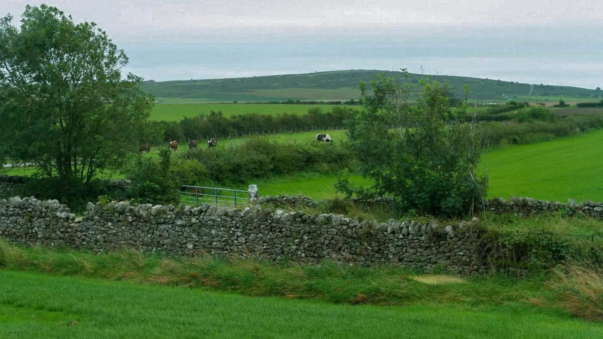 Holiday home Wild Duck *