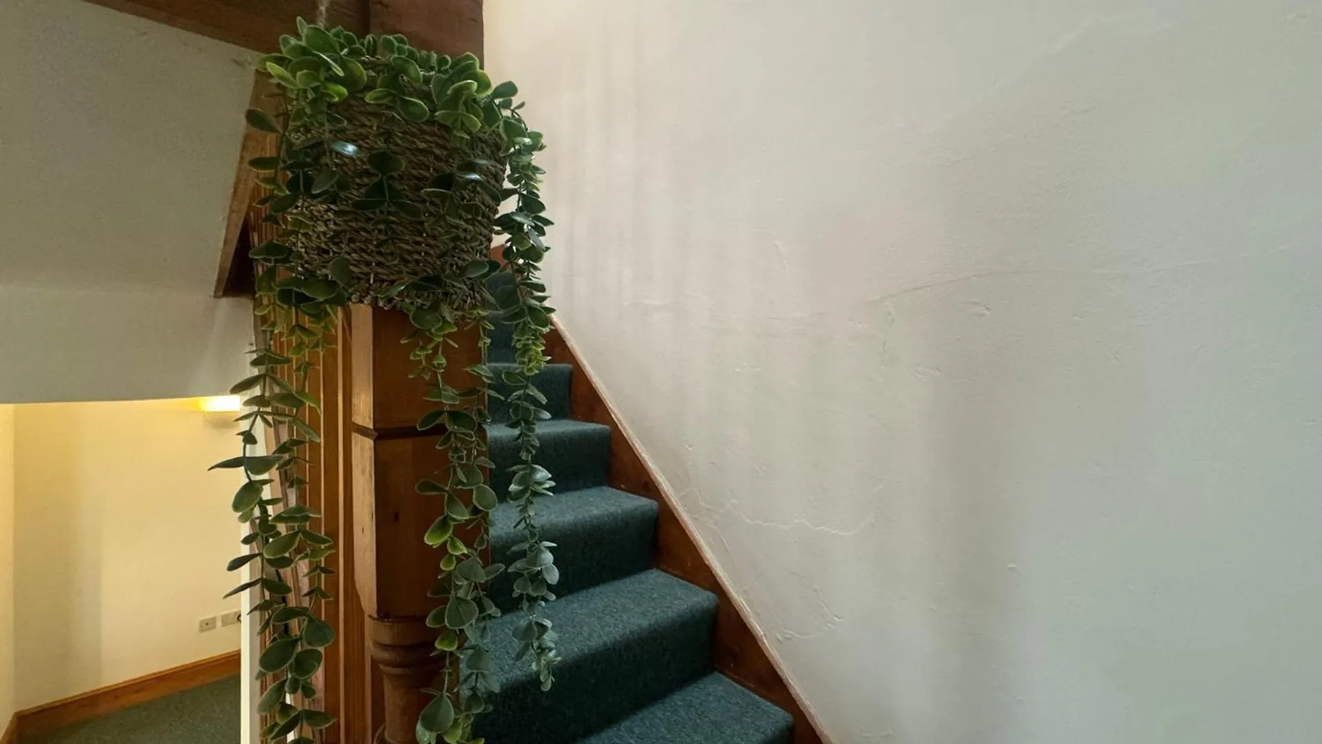 Holiday home Robinson's Retreat - - District Cockermouth
