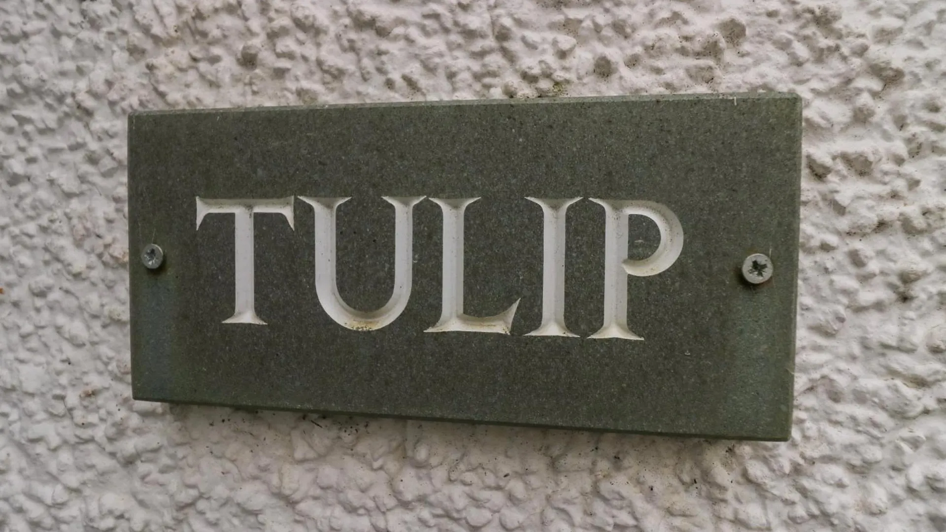 Holiday home Tulip *