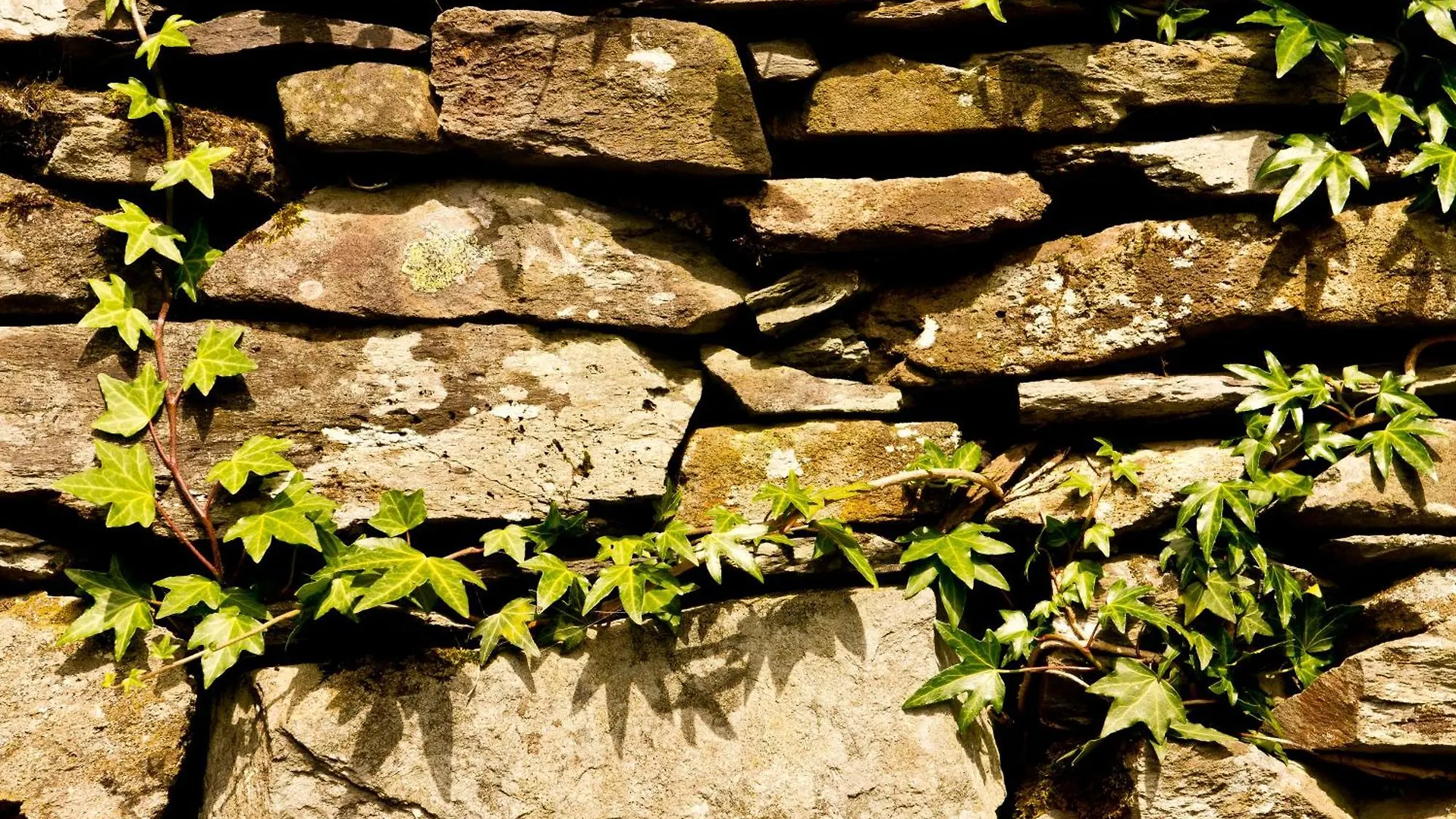Yha Langdale * Ambleside
