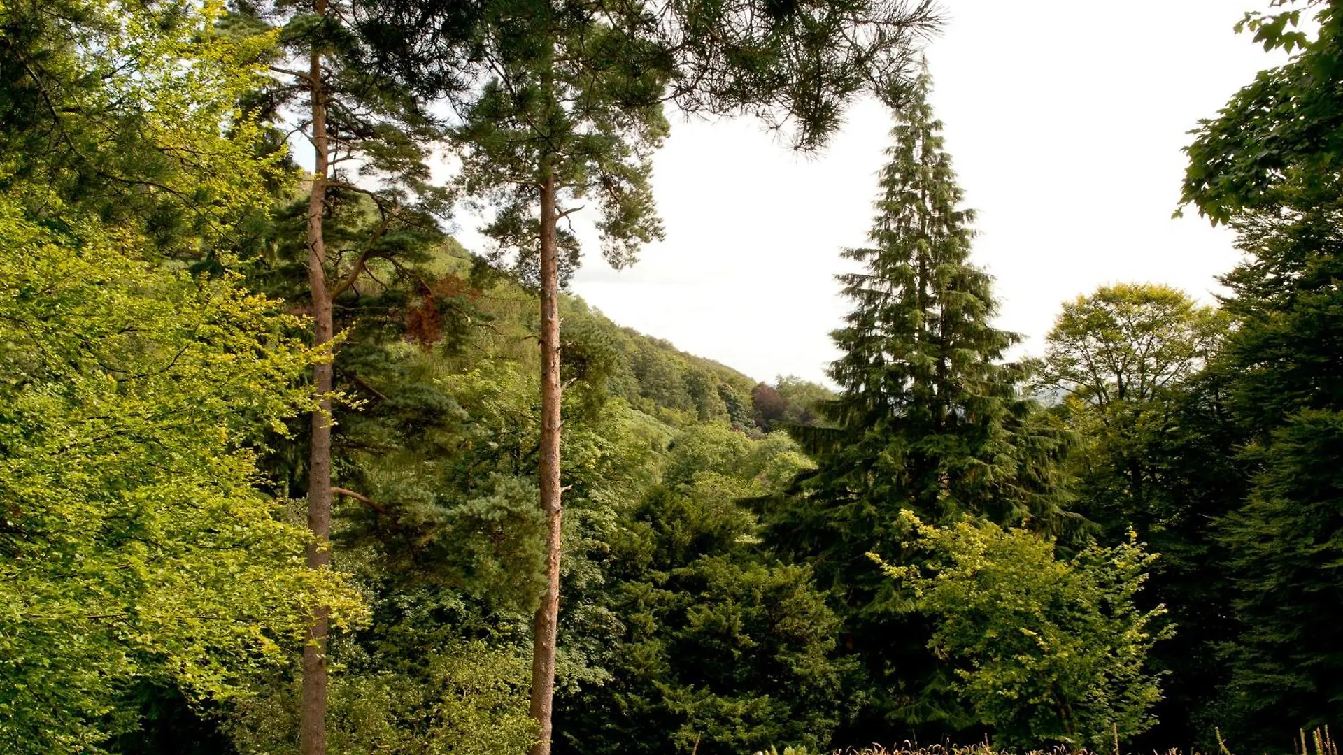 Hostel Yha Langdale