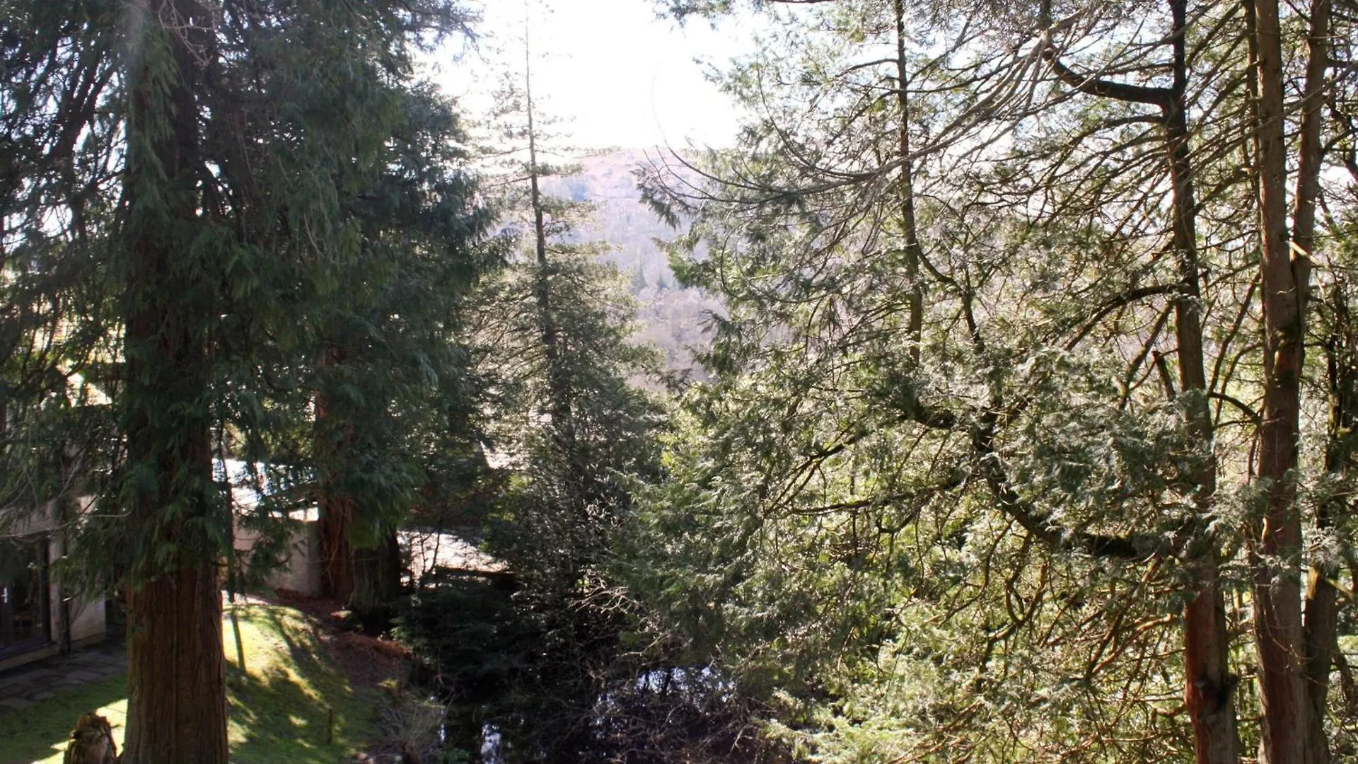 Tarnside * Elterwater