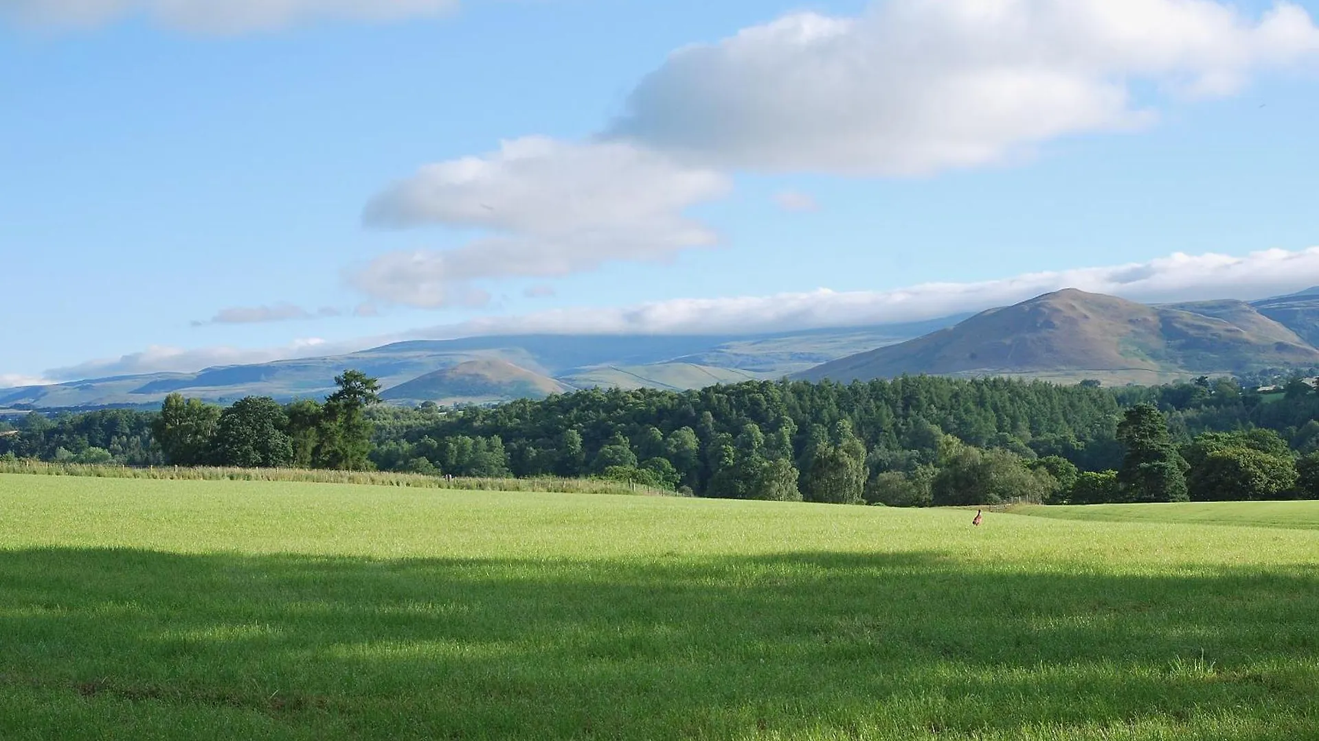 High Moor * Dufton
