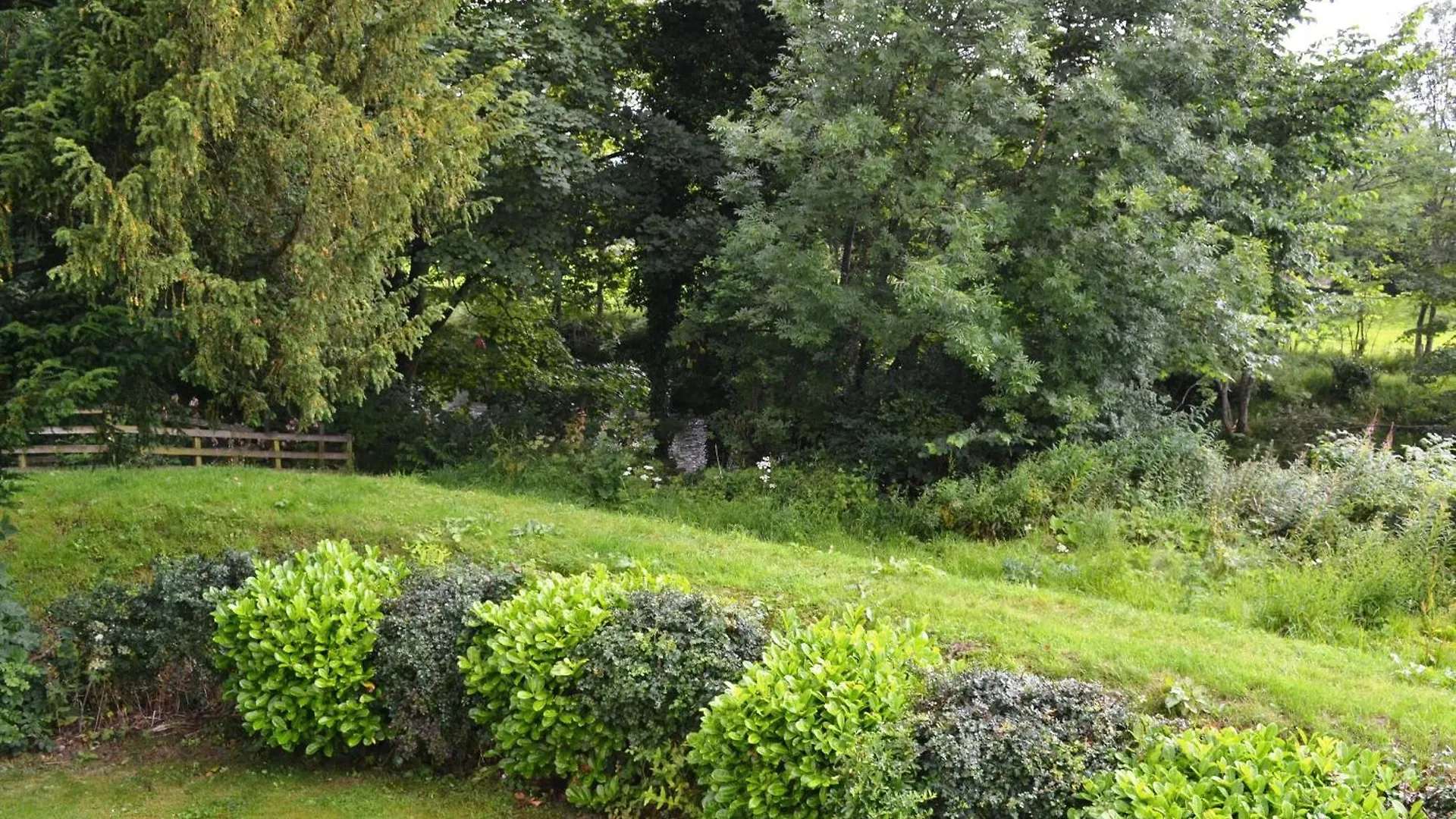 Elm Court 7