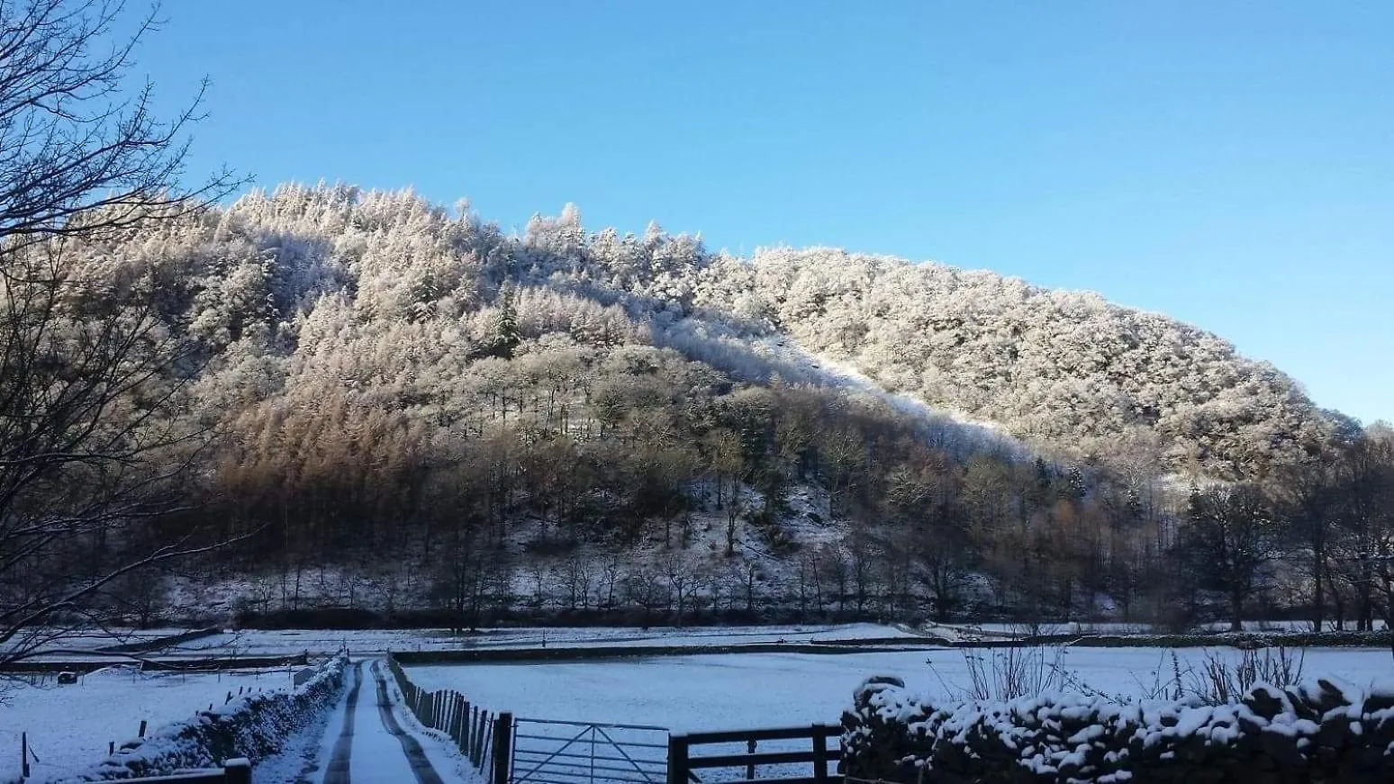 Stybeck Farm