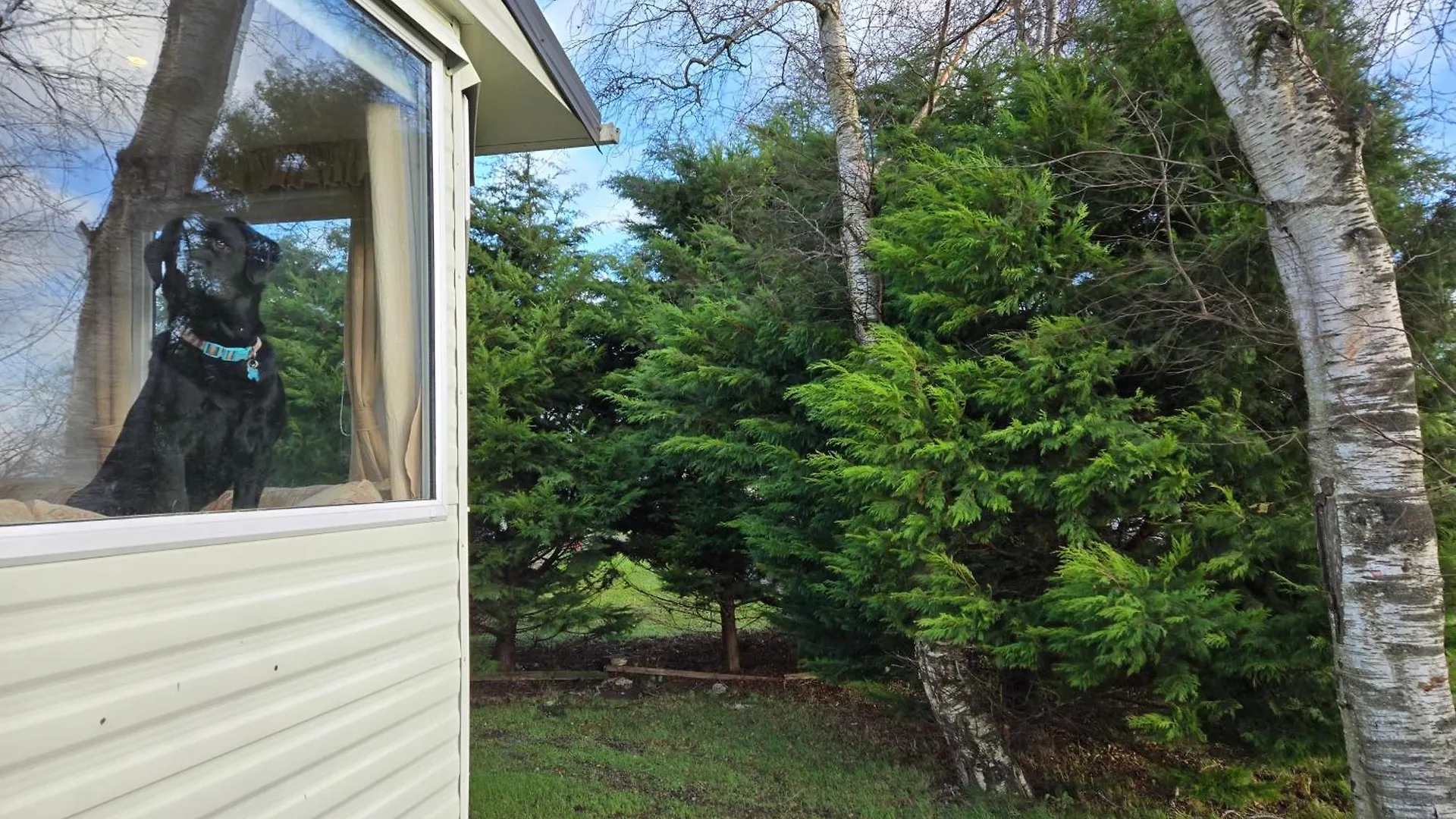 Elf Wood - Swimming Spa, Sky Sports, Tennis, Hadrian's Wall Holiday home Port Carlisle