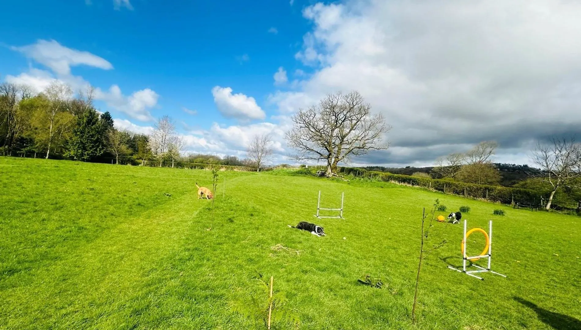 Holiday home 3 Bed In Arnside And Silverdale 90531