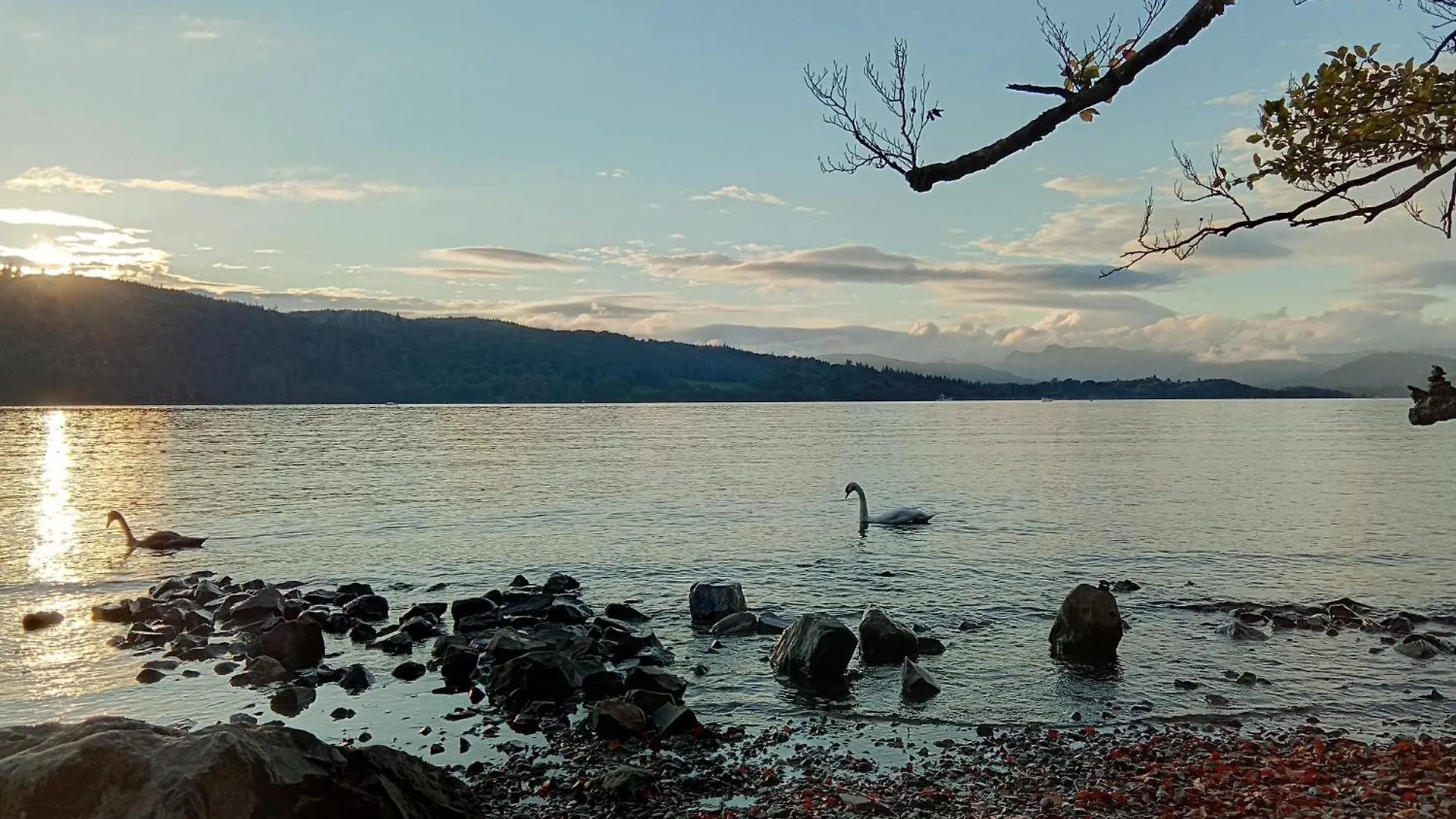 Lindisfarne In * Windermere